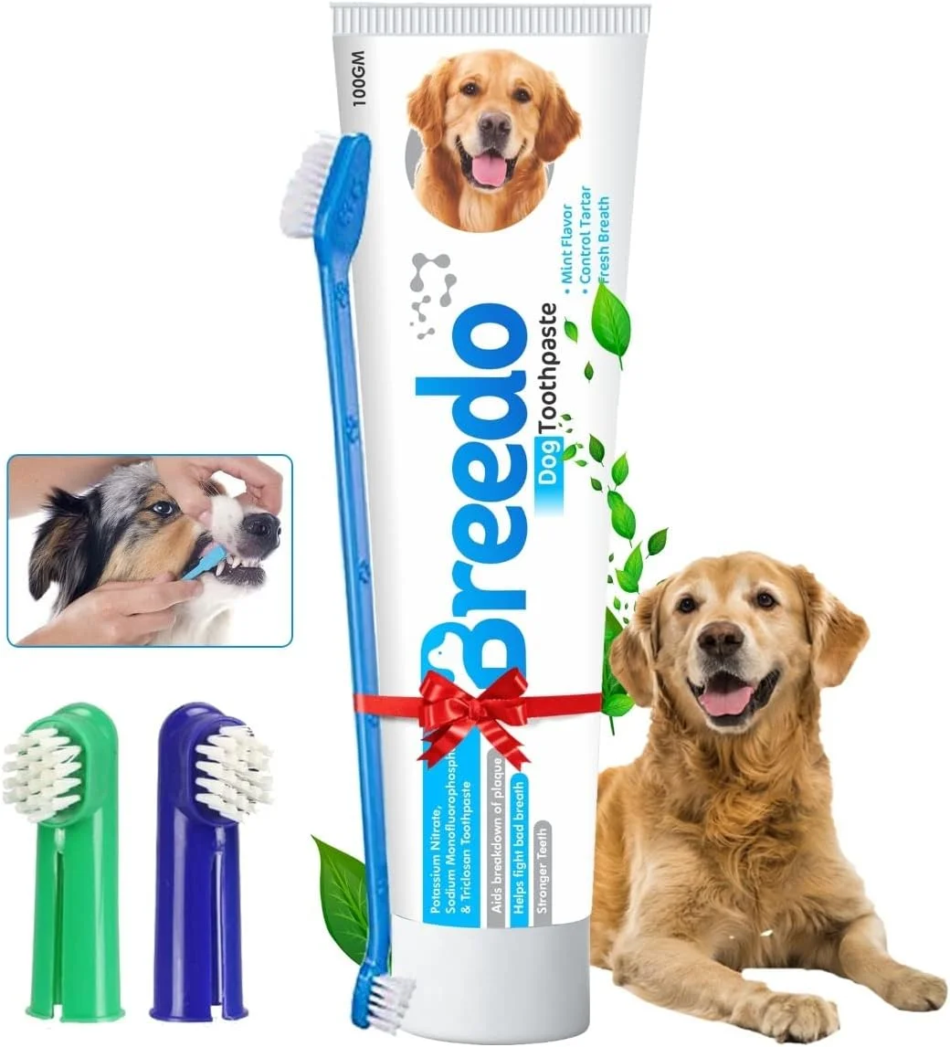 خمیر دندان نعنایی خنک و بسته 3 عددی مسواک برای سگ ها - 100 گرم | ترکیبی تسکین دهنده از نعناع و روغن دارچین مناسب برای سگ ها و توله سگ ها | خمیر دندان سگ | خوشبو کننده دهان سگ