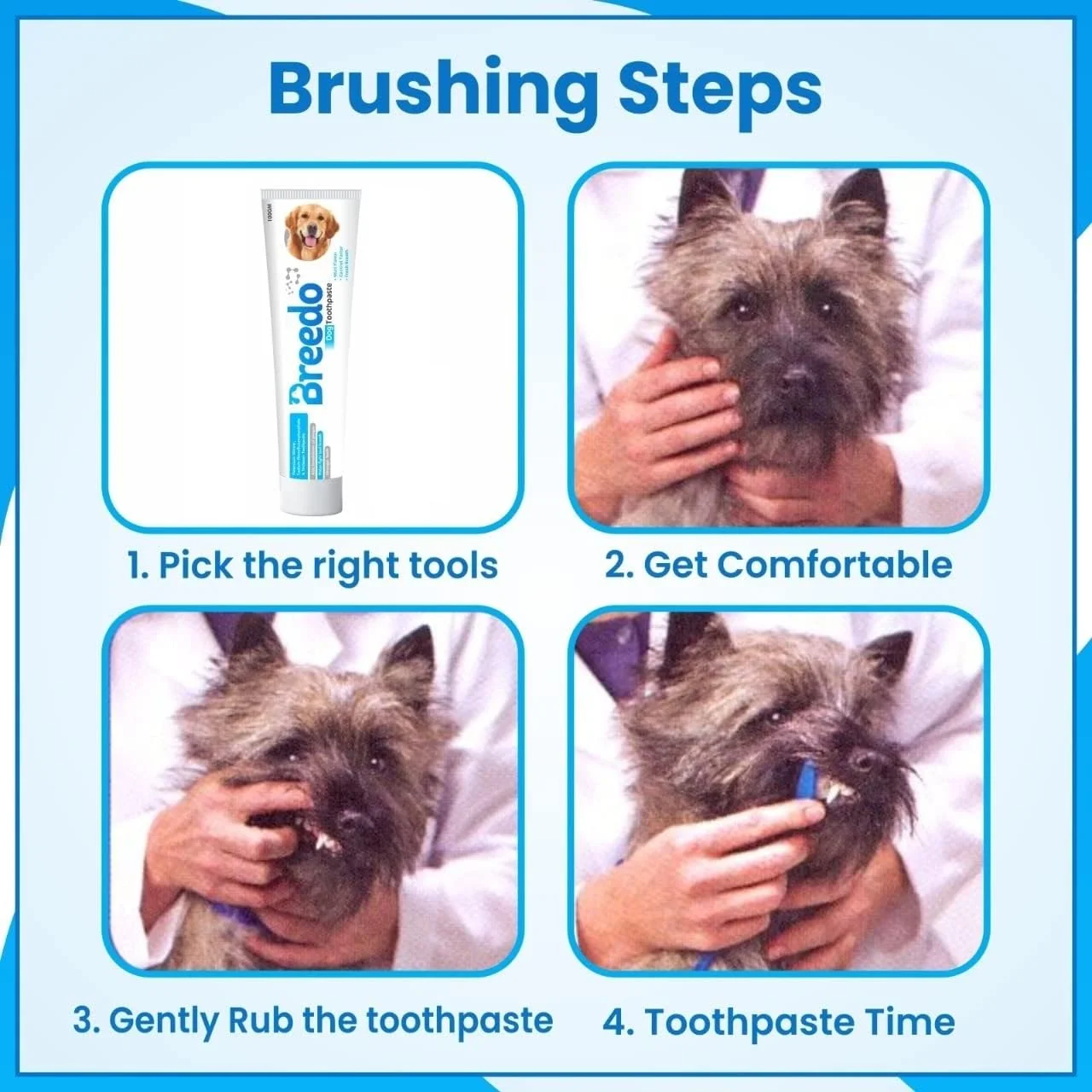 خمیر دندان نعنایی خنک برای سگ ها - 100 گرم | ترکیبی آرامش بخش از نعناع و روغن دارچین مناسب برای سگ ها و توله سگ ها