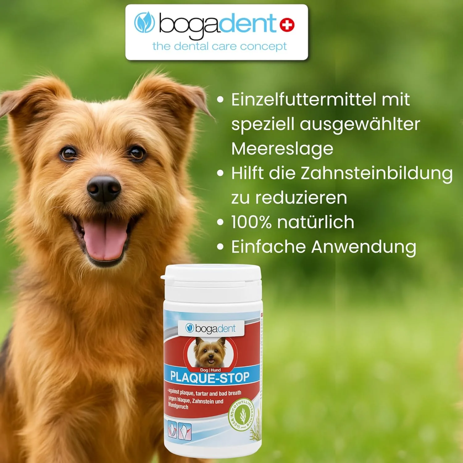 بوگادنت - پلاک استاپ سگ 70 گرم - (UBO0783)