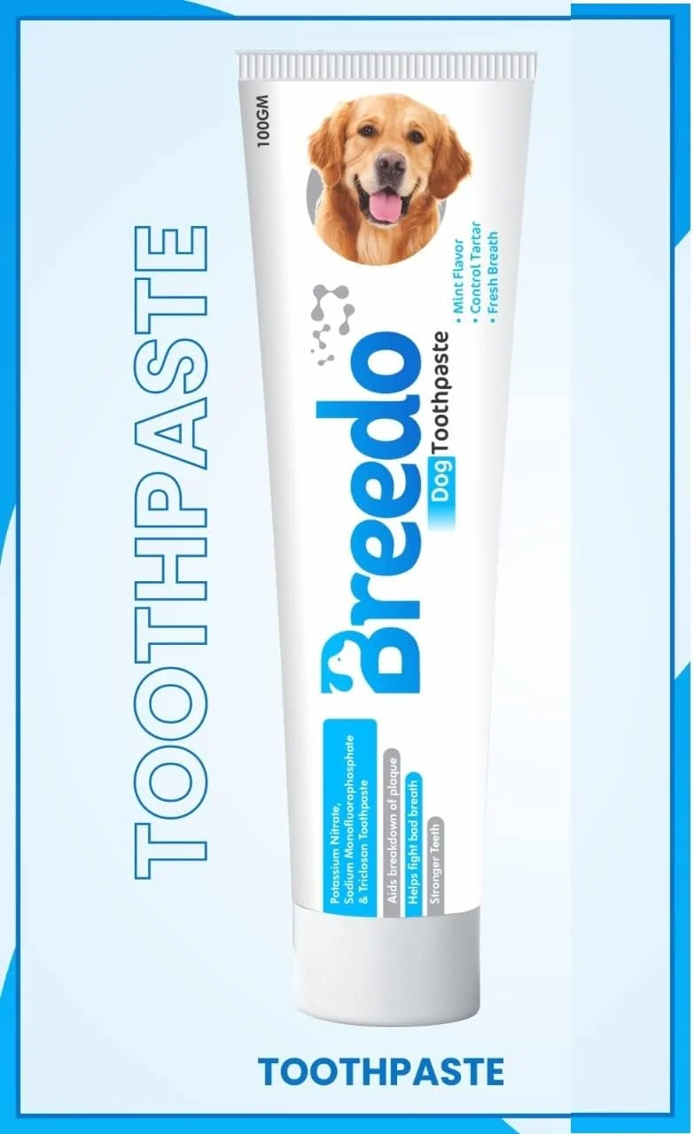 خمیر دندان نعنایی خنک برای سگ ها - 100 گرم | ترکیبی آرامش بخش از نعناع و روغن دارچین مناسب برای سگ ها و توله سگ ها