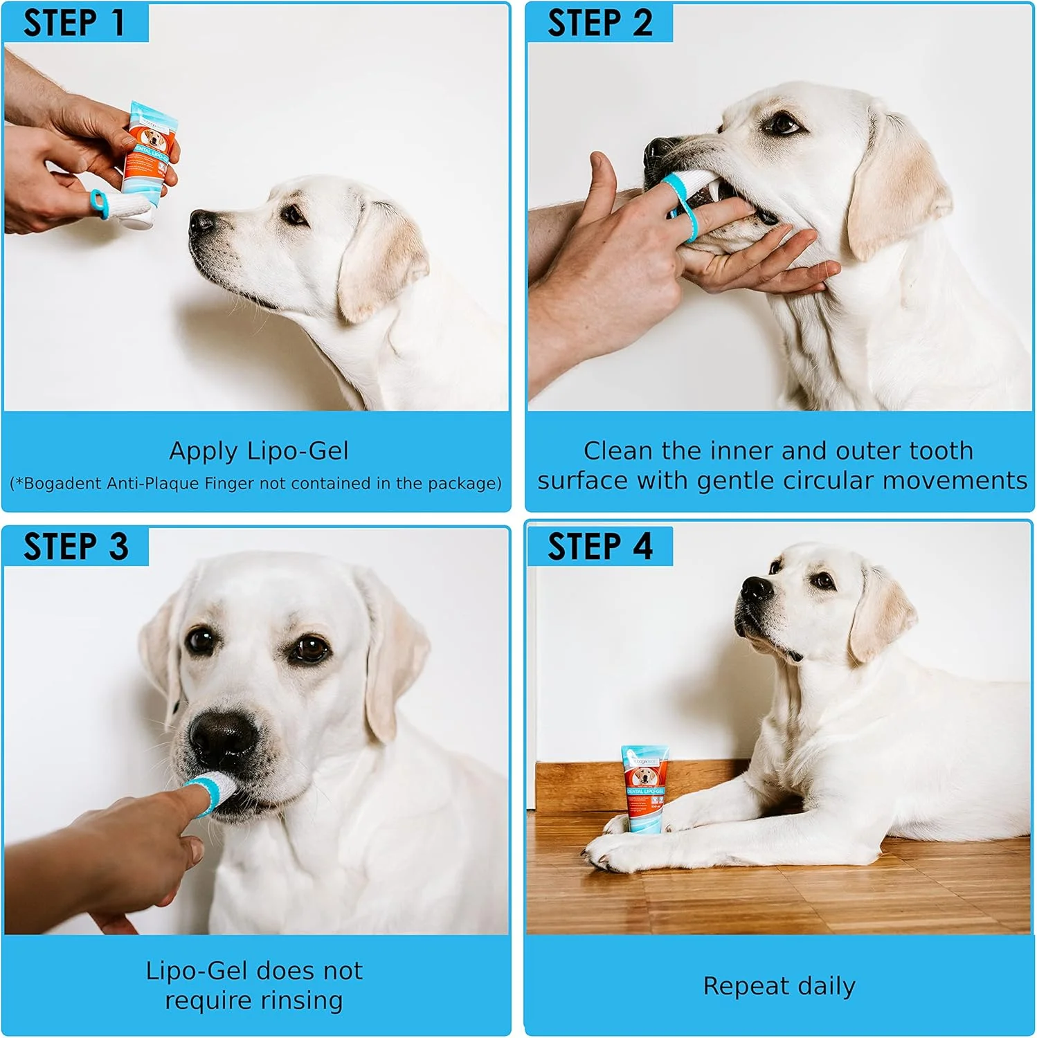 ژل دندان بوگادنت دنتال-لیپو - مراقبت طبیعی از دندان، برای بهداشت بهتر دهان، خمیر دندان برای سگ ها، ضد جرم و بوی بد دهان، ژل خوشبو کننده دهان برای سگ ها، 100 میلی لیتر