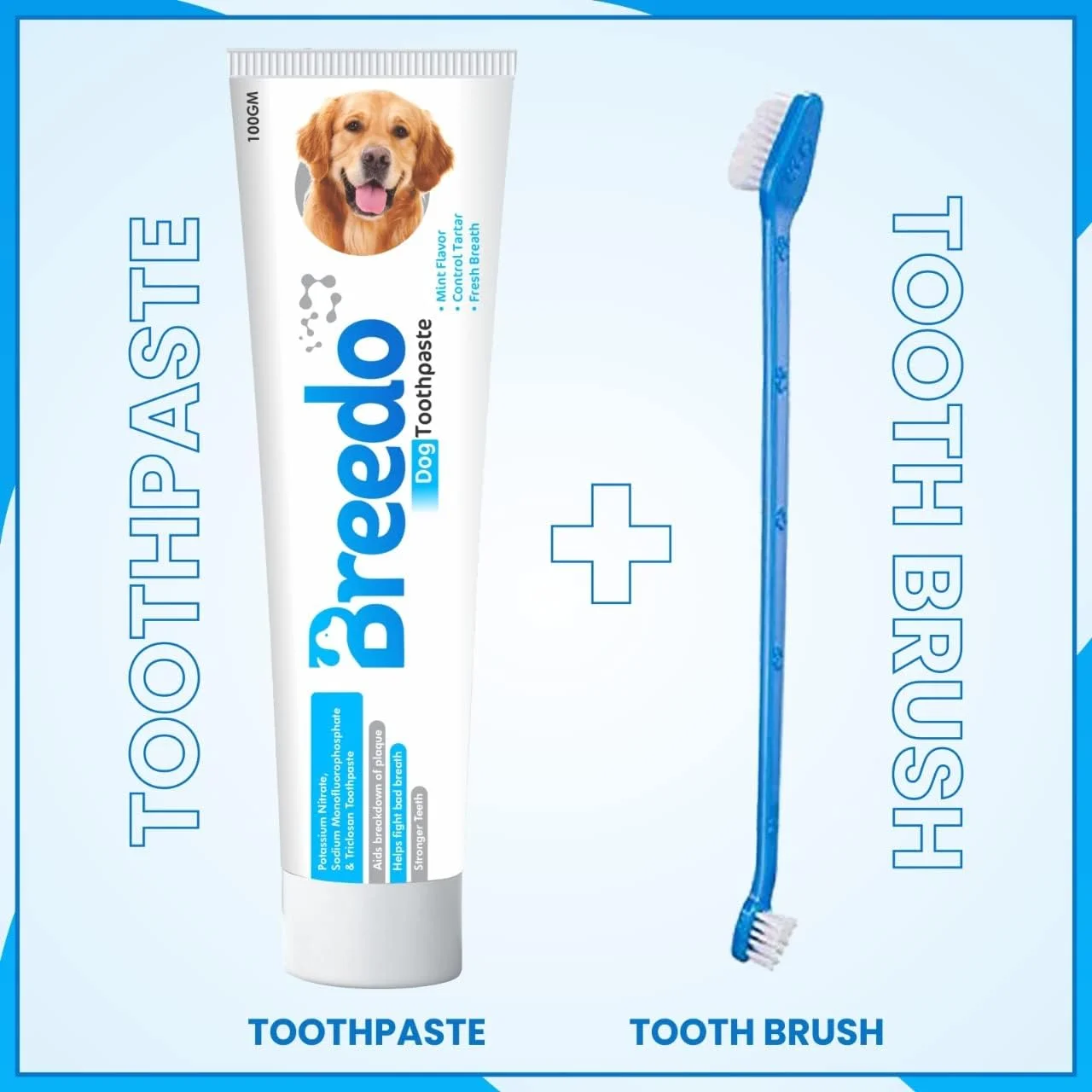 خمیر دندان نعنایی خنک و یک عدد مسواک مخصوص سگ ها - 100 گرم | ترکیبی آرامش بخش از نعناع و روغن دارچین مناسب برای سگ ها و توله سگ ها | خمیر دندان سگ | خوشبو کننده دهان سگ