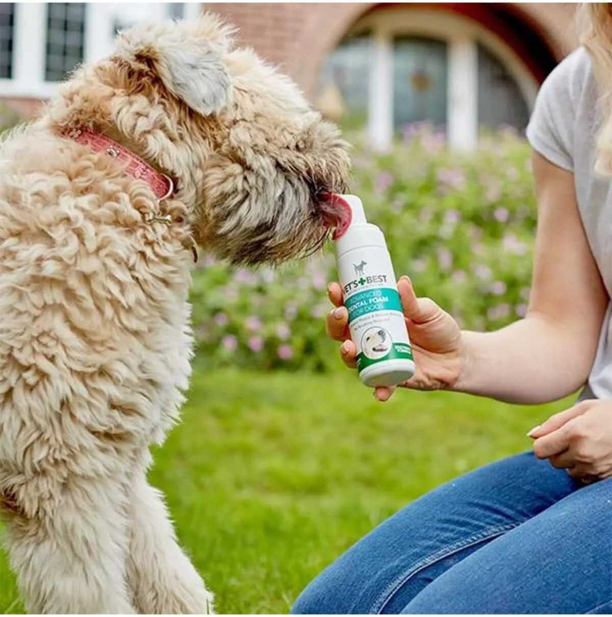 فوم دندان آنزیمی سگ Vet's Best، تمیز کننده دندان و مراقبت از دندان برای تنفس تازه، 120 میلی لیتر