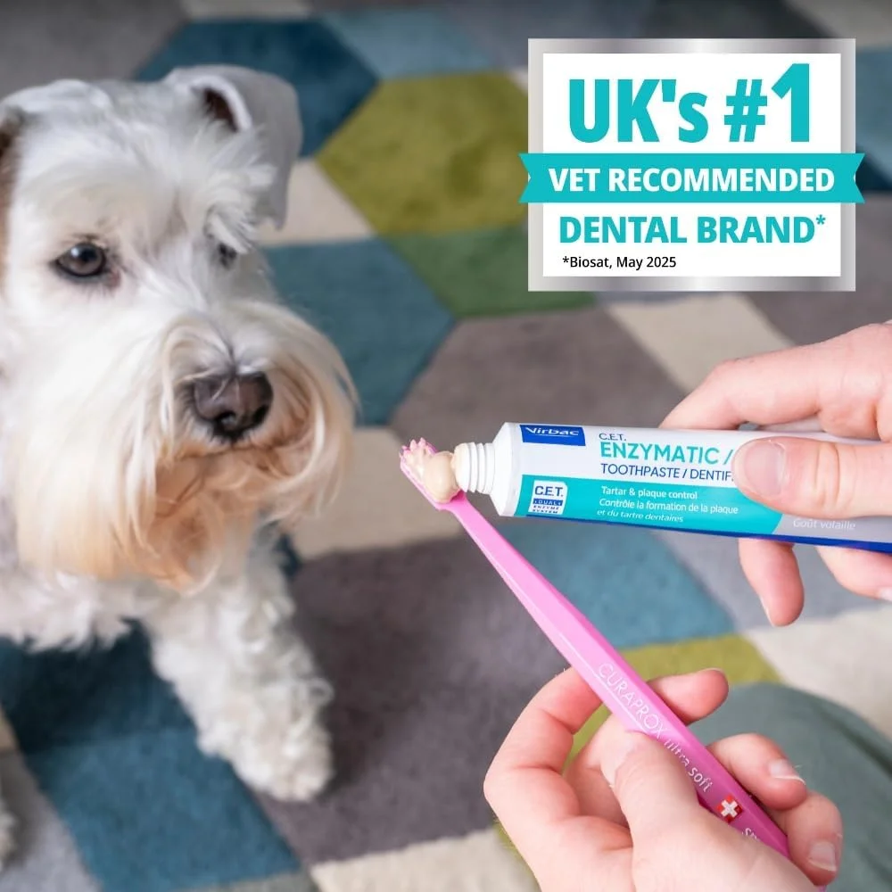 خمیر دندان آنزیمی Virbac برای سگ ها، طعم مرغ، 70 گرم