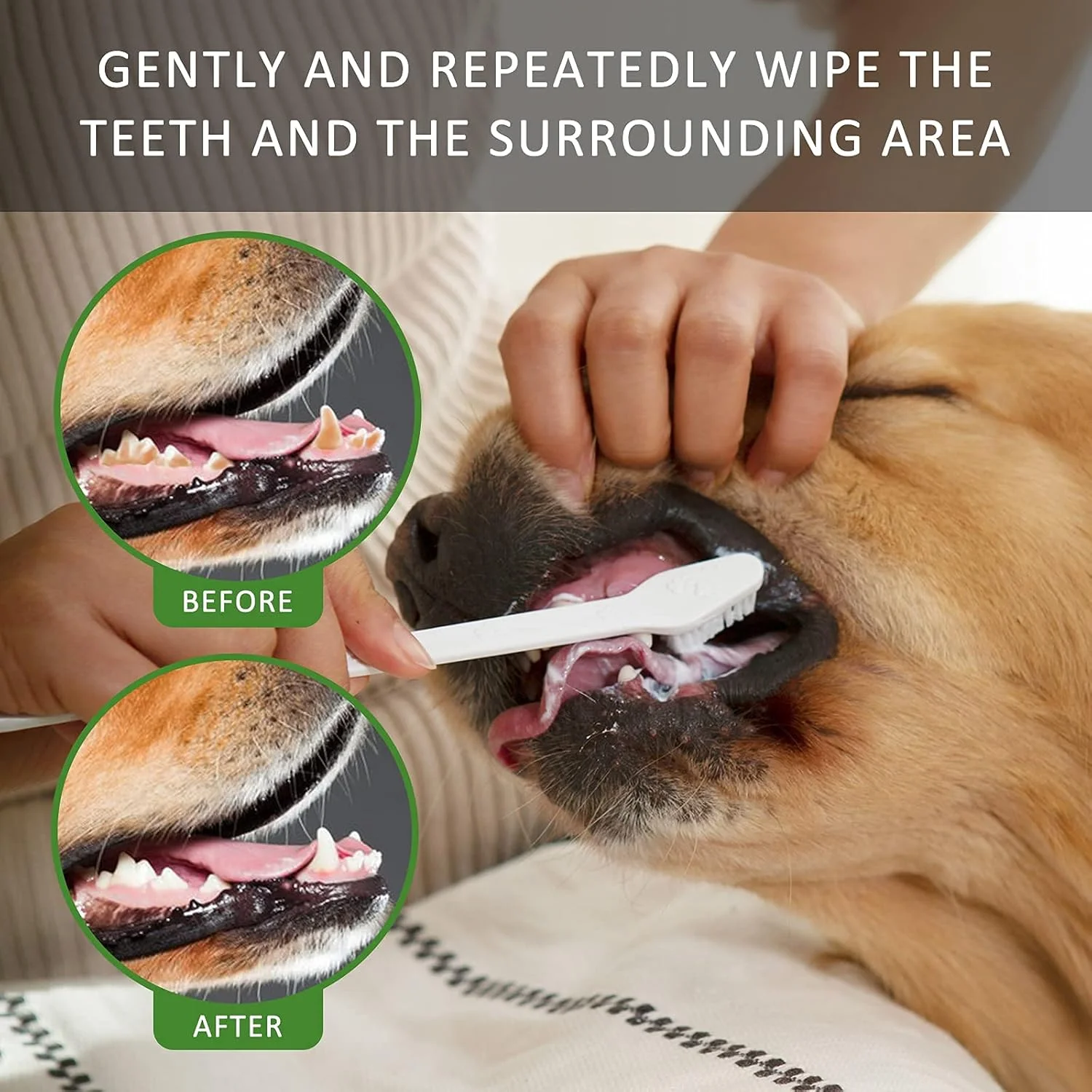 خمیر دندان سگ Bioline، تمیز کننده دندان، کنترل پلاک و جرم دندان برای سگ ها، از بین برنده بوی بد دهان، طعم نعناع