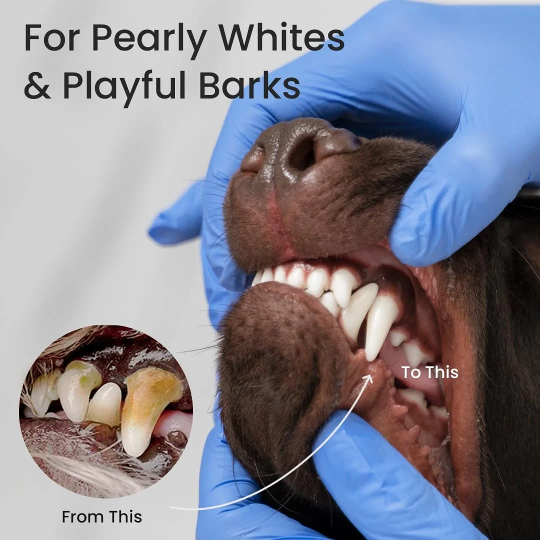 خمیر دندان بایولاین با طعم گوشت گاو، 100 گرم