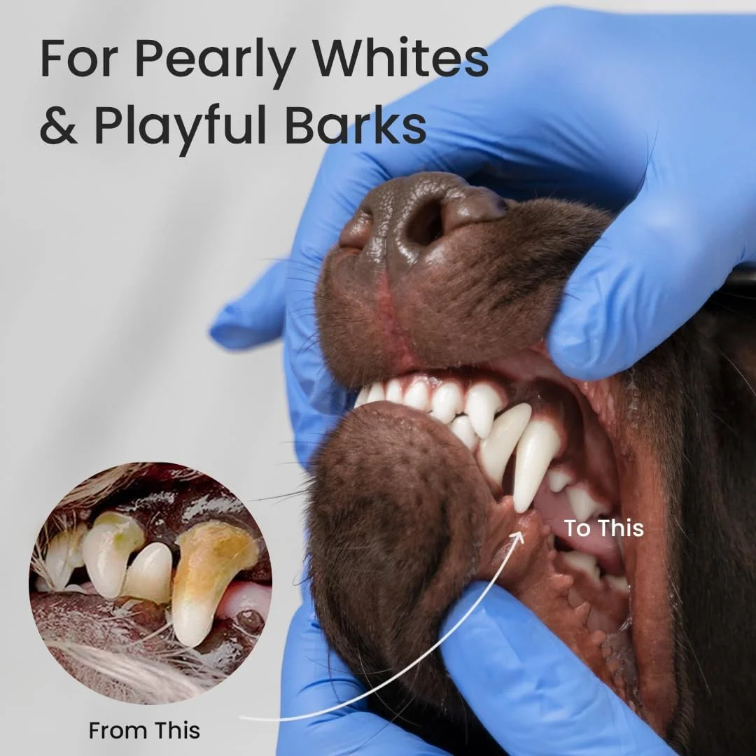 خمیر دندان بایولاین با طعم پرتقال ۱۰۰ گرم، چند رنگ