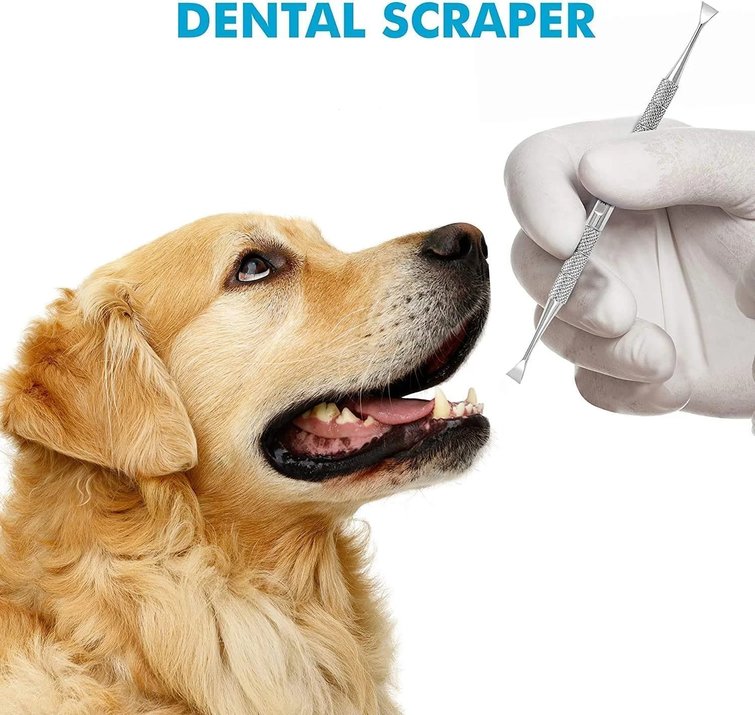 ابزار جرم گیری دندان سگ و تمیز کردن دندان حیوانات خانگی