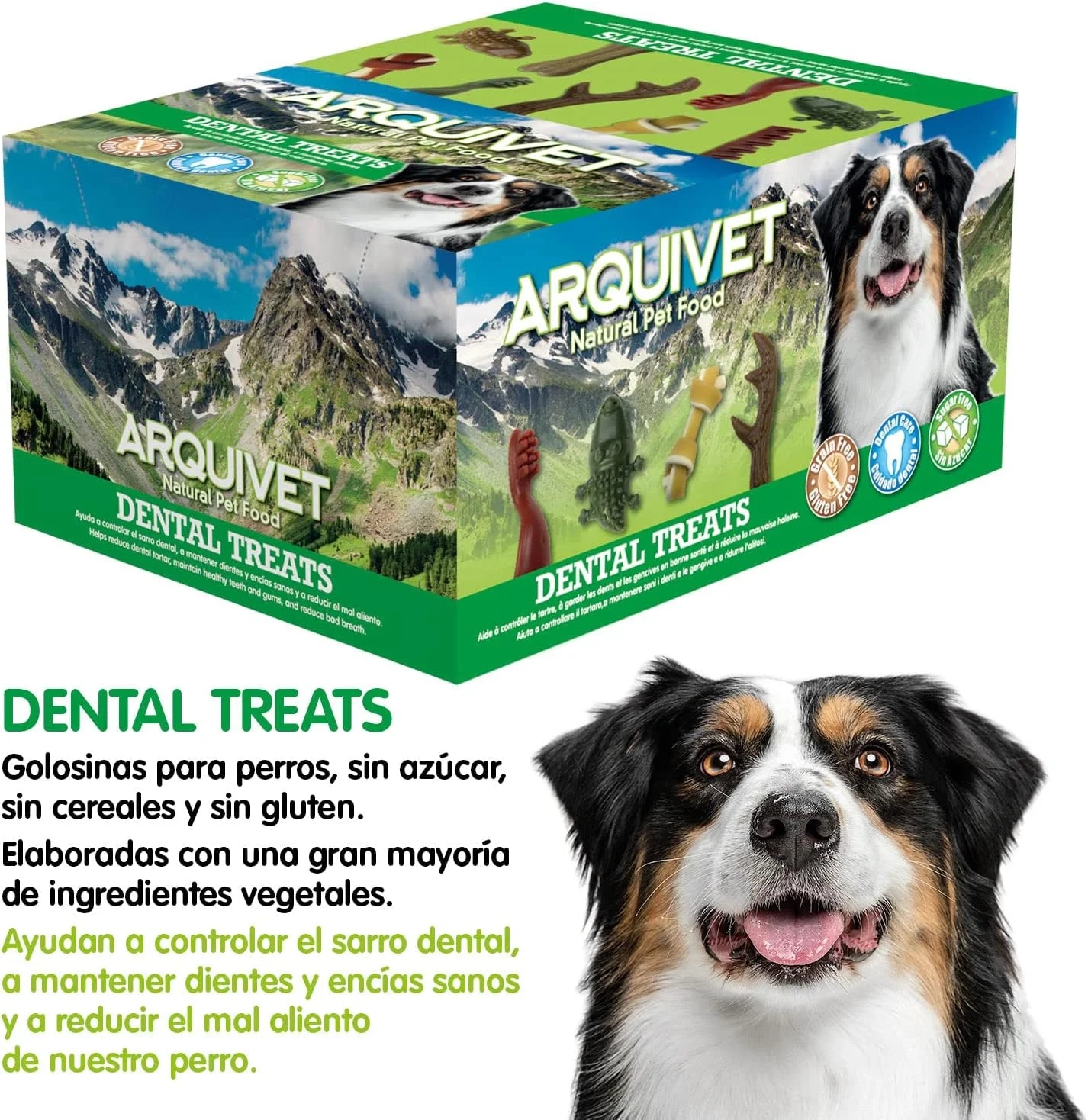 تشویقی دندانی آرکوییت با شکل مسواک، 12 گرم، سایز 9 سانتی متر