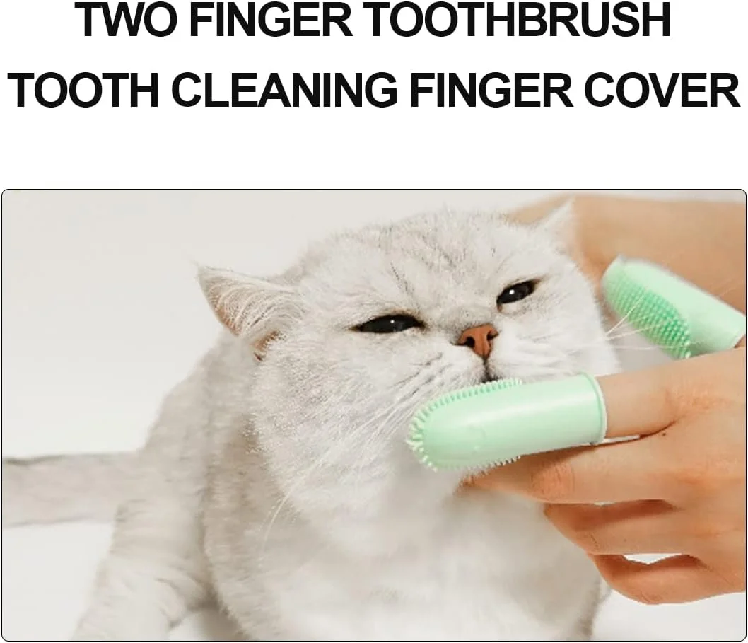 ۲ جفت مسواک انگشتی سگ و گربه، برس کاملا پوشیده، تمیز کردن آسان، مراقبت از دندان توله سگ و گربه خانگی ۲ جفت مسواک انگشتی سگ و گربه، برس کاملا پوشیده، تمیز کردن آسان، مراقبت از دندان توله سگ و گربه خانگی