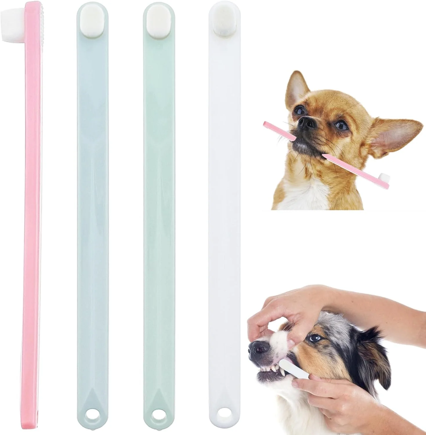 مسواک سگ و گربه، برس متراکم با الیاف نرم، مناسب برای تمیز کردن عمیق دندان، بسته 4 عددی