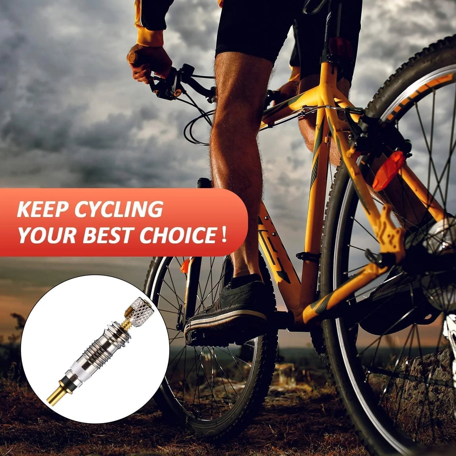 مجموعه ۲۰ عددی مغزی والو دوچرخه - مغزی برنجی تیوبلس برای دوچرخه های جاده و کوهستان | سازگار با Stan's، Vittoria، Continental، Kenda ایده آل برای نگهداری لاستیک های تیوبلس و تعویض اضطراری مجموعه ۲۰ عددی مغزی والو دوچرخه - مغزی برنجی تیوبلس برای دوچرخه های جاده و کوهستان | سازگار با Stan's، Vittoria، Continental، Kenda ایده آل برای نگهداری لاستیک های تیوبلس و تعویض اضطراری