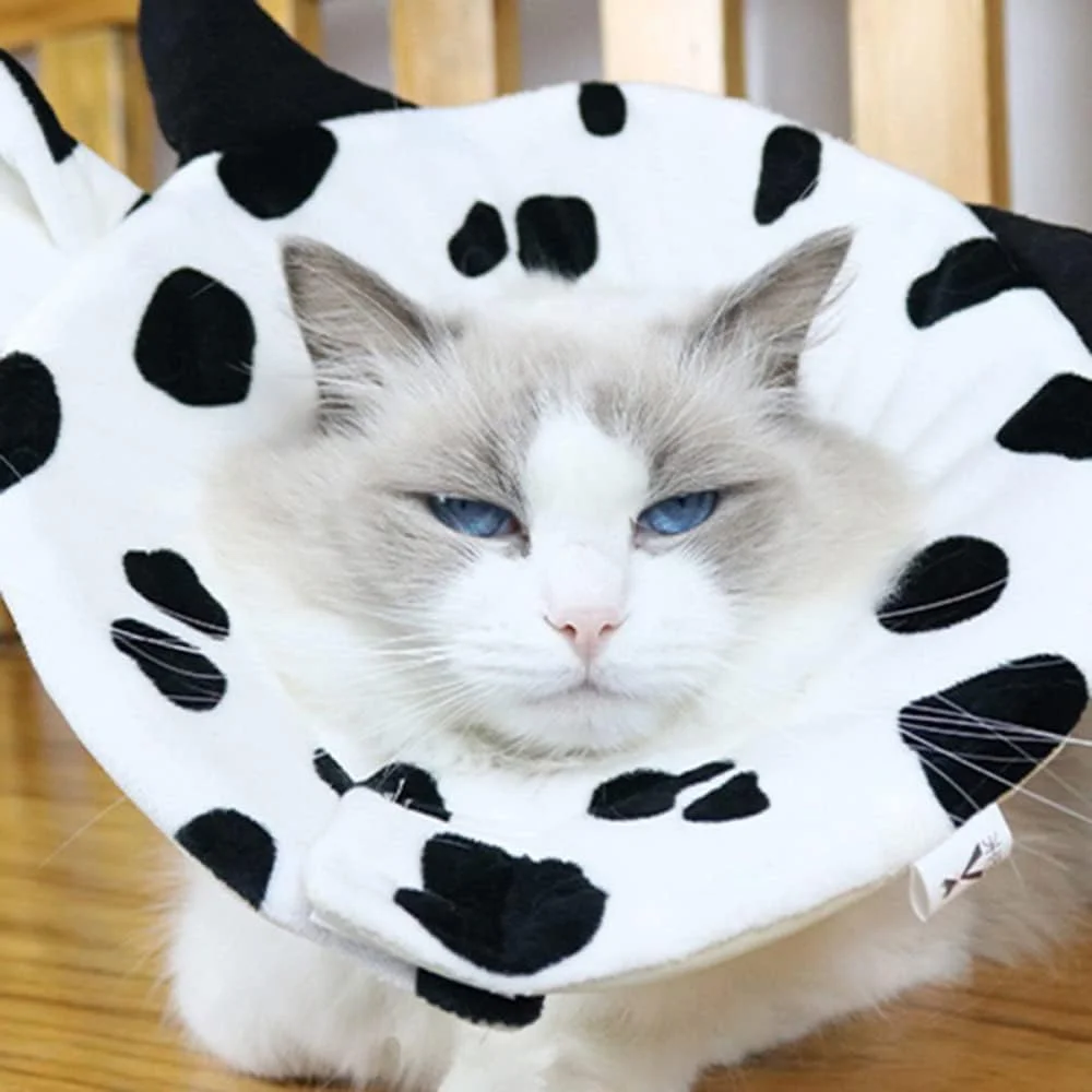 طوق الیزابت طرح گاو مناسب گربه و سگ، محافظ گازگرفتگی، مناسب دوران نقاهت حیوانات خانگی، سایز S