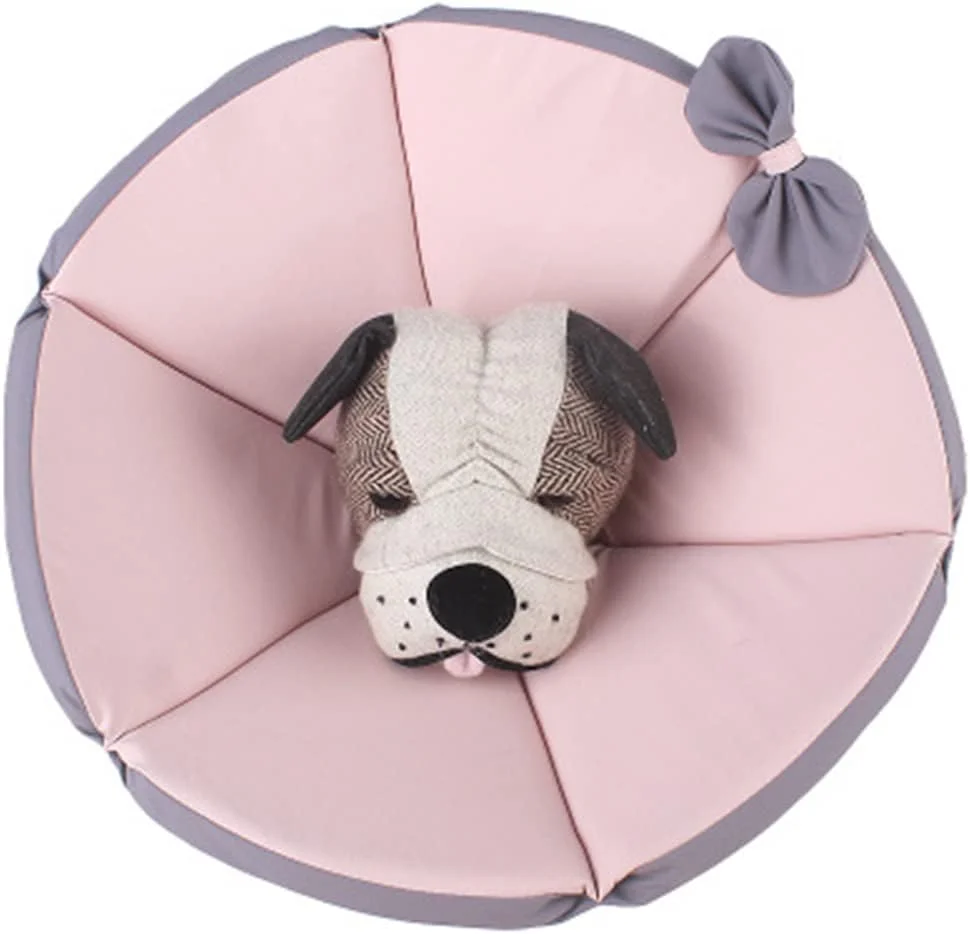 قلاده گردنی گربه و سگ، لوازم جانبی قابل تنظیم، حلقه محافظ گردن بچه گربه، قلاده ضد آب پزشکی، لوازم گربه