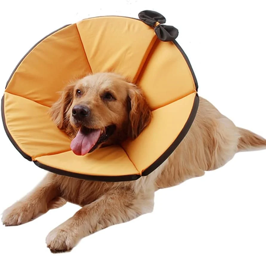 قلاده گردنی گربه و سگ، لوازم جانبی قابل تنظیم، حلقه محافظ گردن بچه گربه، قلاده ضد آب پزشکی، لوازم گربه