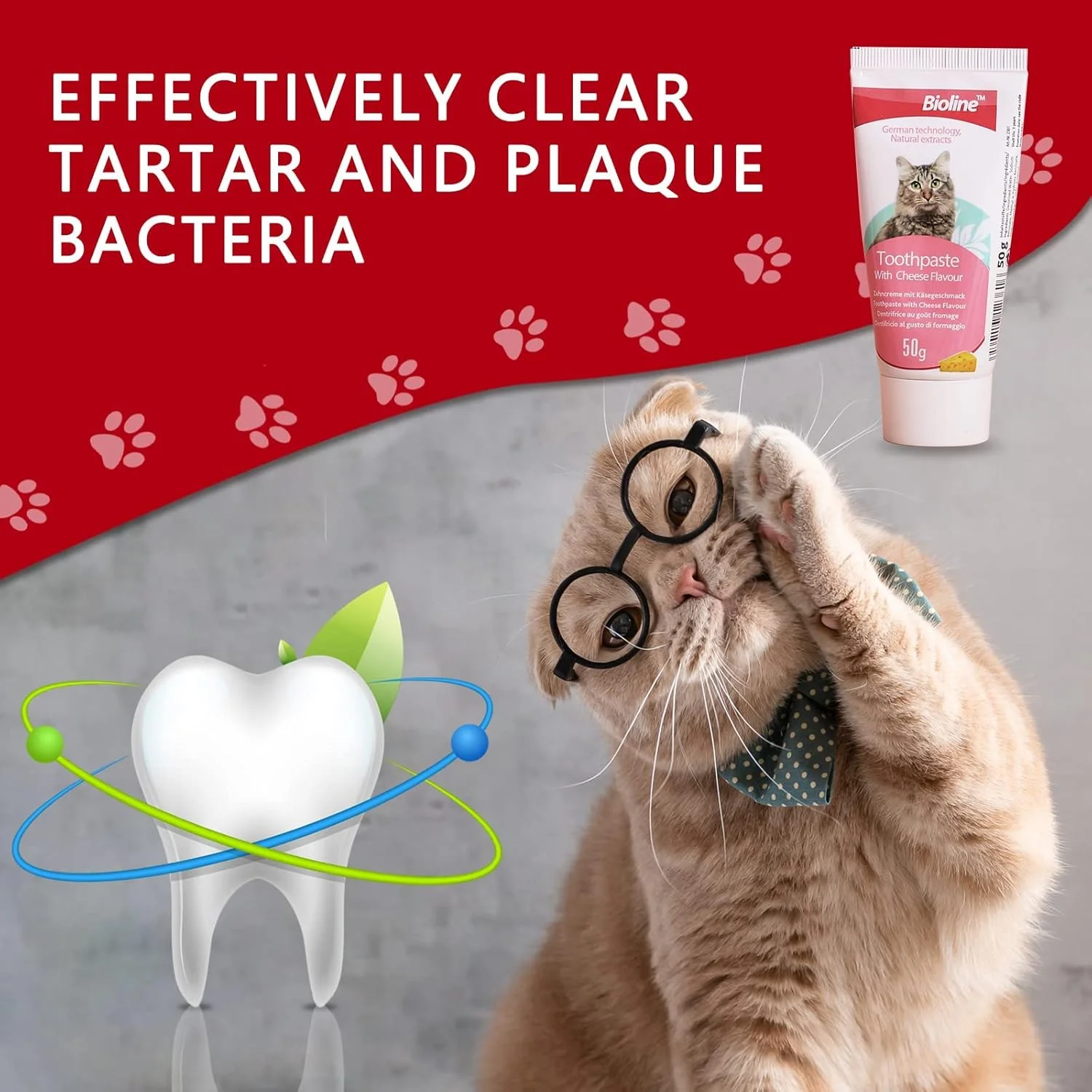 مجموعه بهداشت دهان و دندان بایولاین برای گربه ها - طعم پنیر - خمیر دندان و مسواک گربه
