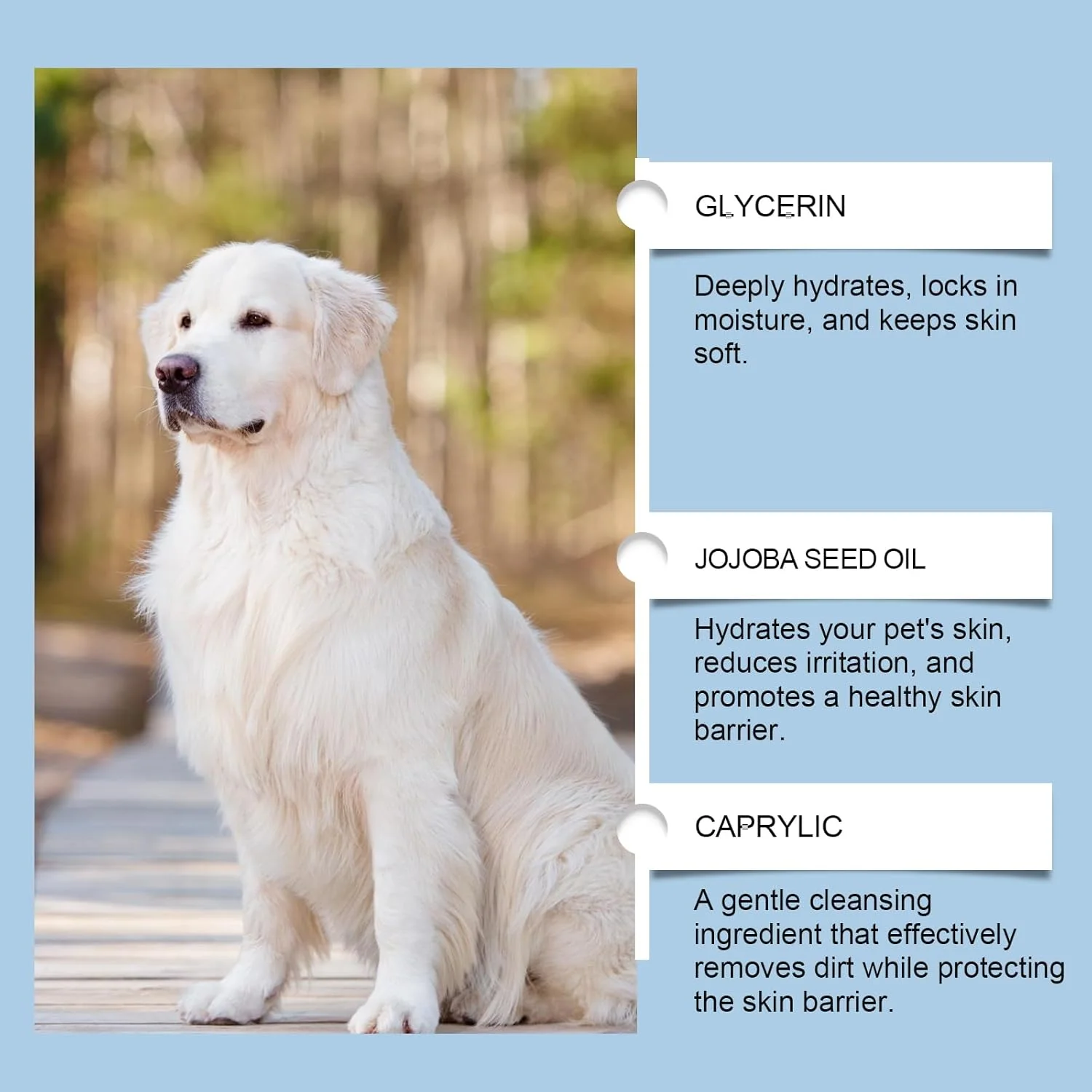 پاک کننده جوش سر سیاه گربه با برس، ژل پاک کننده چانه گربه با برس تمیز کننده گربه، مراقبت از پوست گربه و برس آکنه چانه گربه، برس حیوانات خانگی برای گربه ها و لوازم تمیز کننده گربه