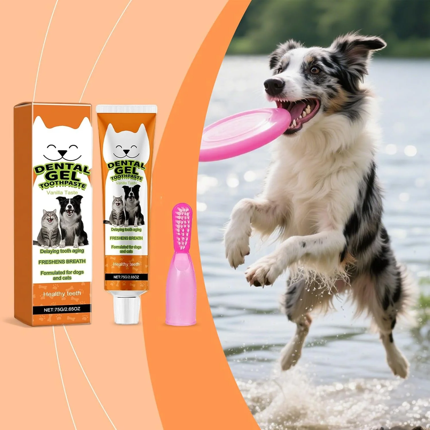 کیت مسواک سگ | لوازم قابل حمل پاک کننده آلودگی، کیت مسواک - برای حیوانات خانگی کوچک، متوسط و بزرگ، توله سگ و گربه