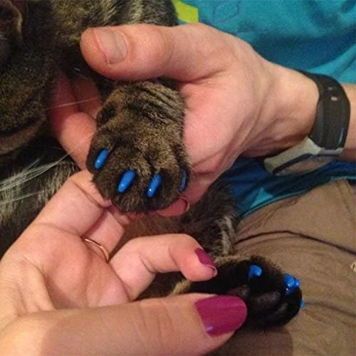 لوازم مراقبت از حیوانات خانگی گربه سگ، 20 عدد روکش ناخن گربه سیلیکونی نرم / پنجه گربه / محافظ ناخن حیوانات خانگی / روکش ناخن گربه، سایز: XS (مشکی) (رنگ: سبز)