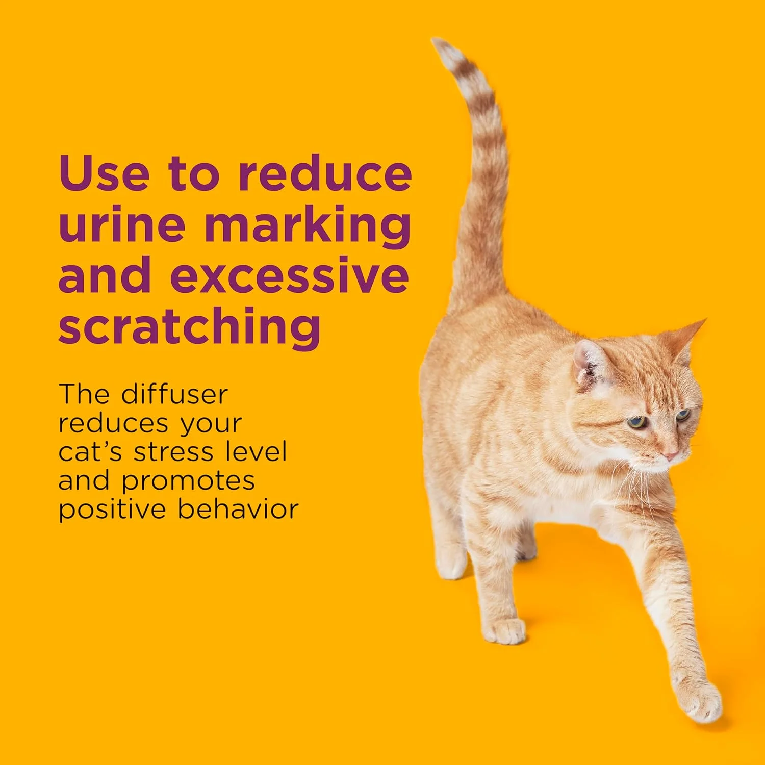 محلول آرام‌بخش گربه کامفورت زون، مناسب برای ۳۰ روز، برای خانه‌ای آرام | توصیه شده توسط دامپزشکان | کاهش اسپری کردن، خراشیدن و سایر رفتارهای نامطلوب