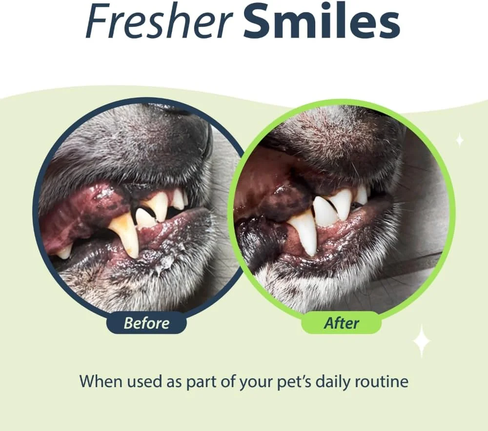 محلول افزودنی آب طعم دهنده دهان گربه، فرمول اصلی، 236 میلی لیتر - درمان بوی بد دهان برای گربه ها - برای سفید کردن دندان ها و از بین بردن بوی بد دهان به کاسه آب اضافه کنید - تمیز کردن دندان گربه برای بهبود سلامت دهان