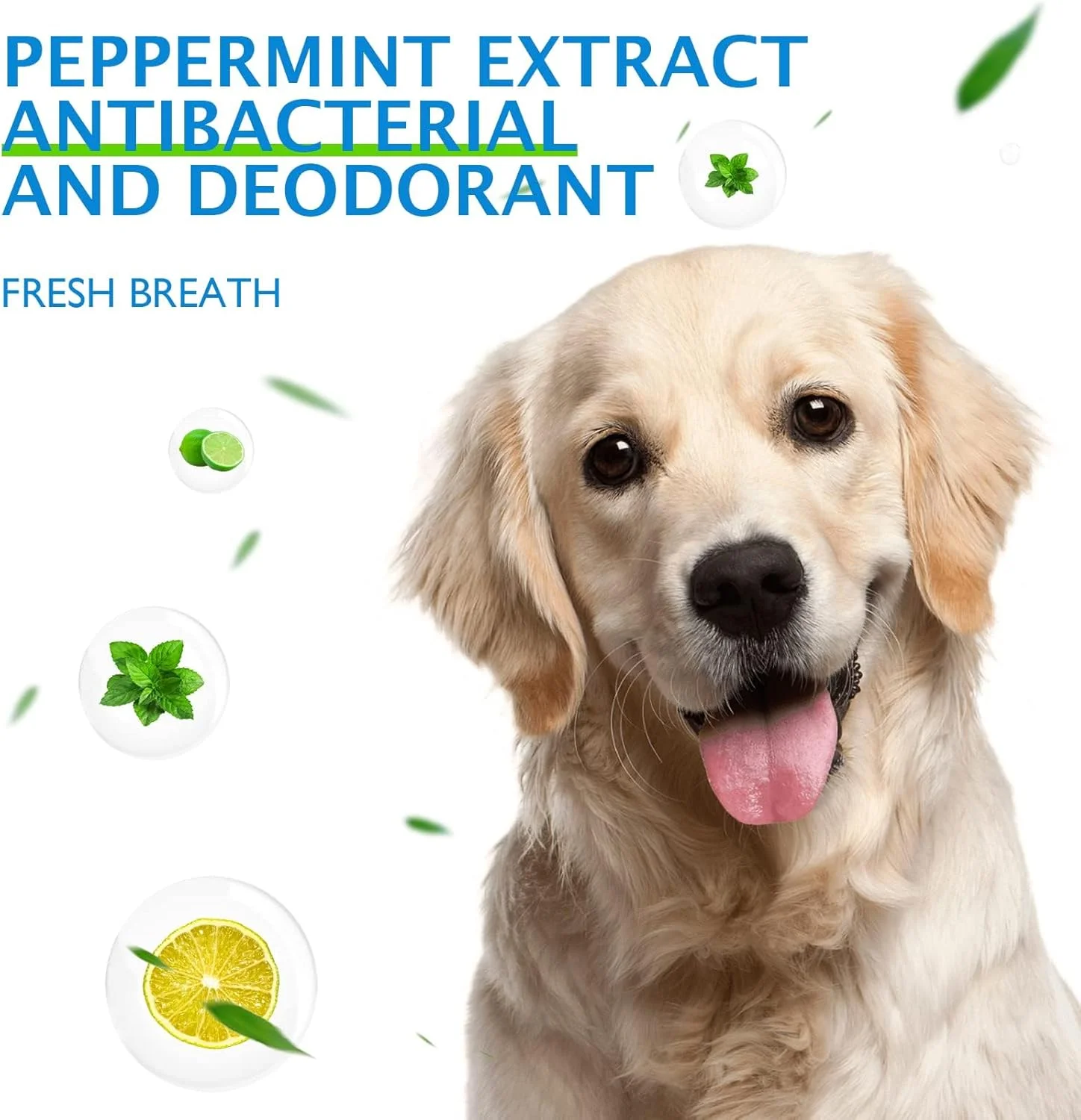 اسپری تمیز کننده دندان حیوانات خانگی، اسپری مراقبت از دهان حیوانات خانگی بدون نیاز به مسواک زدن، اسپری خوشبو کننده دهان حیوانات خانگی، اسپری تمیز کننده دندان حیوانات خانگی، اسپری دندان برای گربه ها و سگ ها