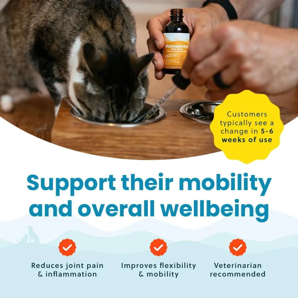 مایع گلوکزامین کندرویتین با MSM برای گربه ها، مکمل پشتیبانی از مفصل و لگن گربه، قطره های گلوکزامین برای گربه های مسن مبتلا به آرتروز، 2 اونس