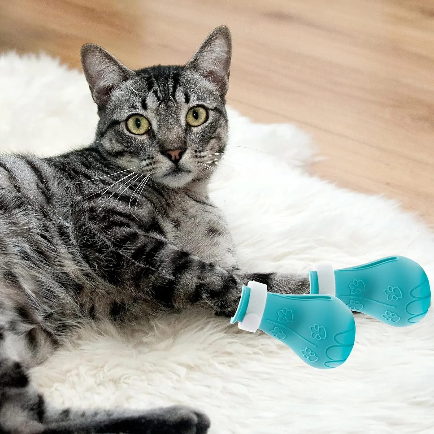 ست پوزه بند گربه و چکمه گربه، لوازم نظافت گربه، روکش ناخن گربه با کلاه قابل تنظیم، پوزه بند هواخور ضد گاز گرفتن، چکمه های ضد خش سیلیکونی محافظ پنجه برای حمام