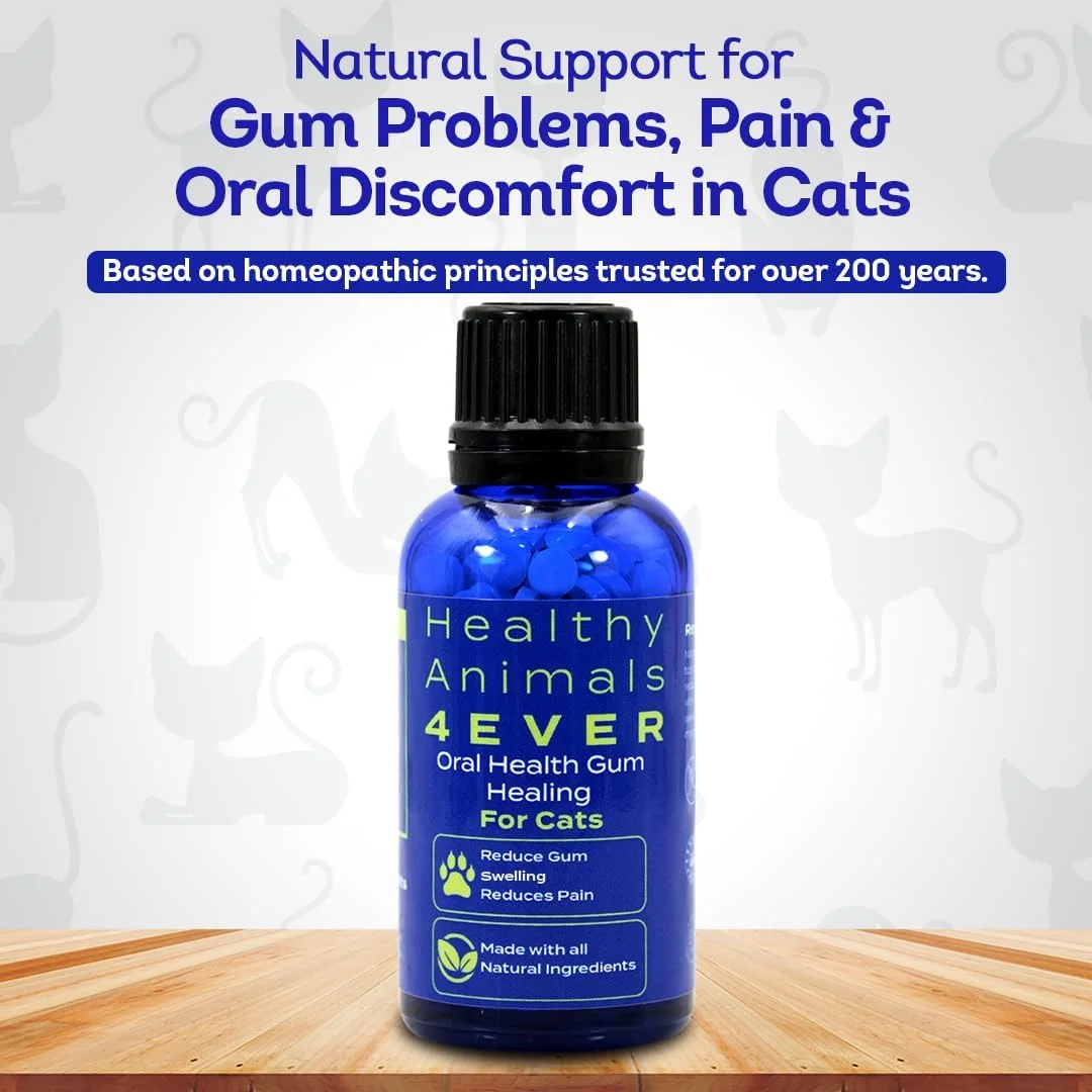 HA4E - سلامت دهان و دندان گربه - تسکین التهاب، آرامش بخش درد و مبارزه با بیماری لثه - طبیعی، غیر تراریخته، ارگانیک، بدون گلوتن و بدون مواد شیمیایی - 300 قرص