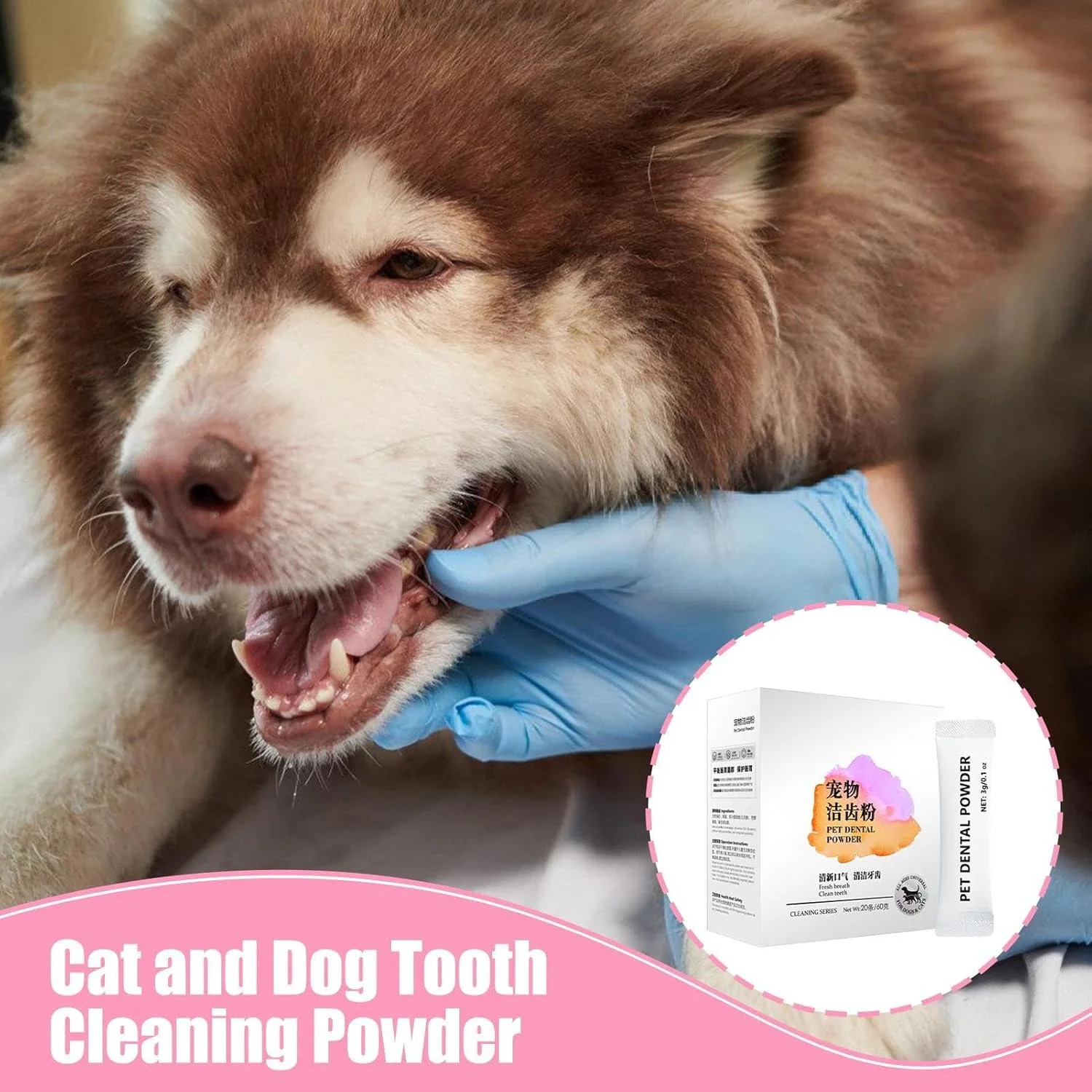 پودر تمیز کننده دندان حیوانات خانگی، 20 بسته پودر برای گربه ها، خوشبو کننده دهان برای بچه گربه ها، مناسب منزل، مسافرت روزانه و نظافت، مراقبت پیشگیرانه پودر تمیز کننده دندان حیوانات خانگی، 20 بسته پودر برای گربه ها، خوشبو کننده دهان برای بچه گربه ها، مناسب منزل، مسافرت روزانه و نظافت، مراقبت پیشگیرانه