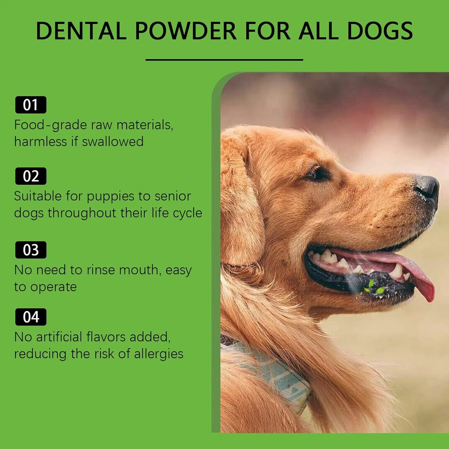 پودر تمیز کننده دندان سگ، پودر خوشبو کننده دهان سگ، لوازم حیوانات خانگی خوشبو کننده دهان گربه با ماندگاری طولانی برای توله سگ و بچه گربه کوچک و بزرگ، مناسب برای همه نژادها، استفاده روزانه در محیط داخلی پودر تمیز کننده دندان سگ، پودر خوشبو کننده دهان سگ، لوازم حیوانات خانگی خوشبو کننده دهان گربه با ماندگاری طولانی برای توله سگ و بچه گربه کوچک و بزرگ، مناسب برای همه نژادها، استفاده روزانه در محیط داخلی