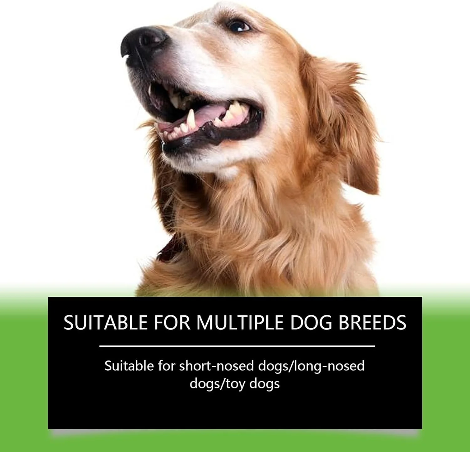 پودر تمیز کننده دندان سگ، پودر خوشبو کننده دهان سگ، لوازم حیوانات خانگی خوشبو کننده دهان گربه با ماندگاری طولانی برای توله سگ و بچه گربه کوچک و بزرگ، مناسب برای همه نژادها، استفاده روزانه در محیط داخلی پودر تمیز کننده دندان سگ، پودر خوشبو کننده دهان سگ، لوازم حیوانات خانگی خوشبو کننده دهان گربه با ماندگاری طولانی برای توله سگ و بچه گربه کوچک و بزرگ، مناسب برای همه نژادها، استفاده روزانه در محیط داخلی