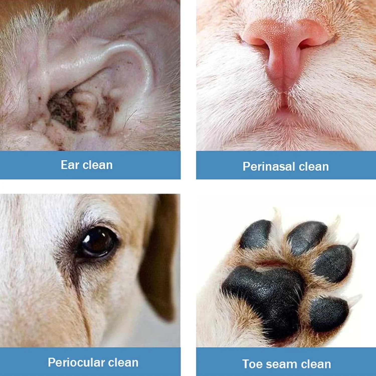 پاک کننده گوش، 50 عدد، لوازم تمیز کننده مراقبت از گوش، مناسب برای چشم، بینی و پنجه سگ و گربه