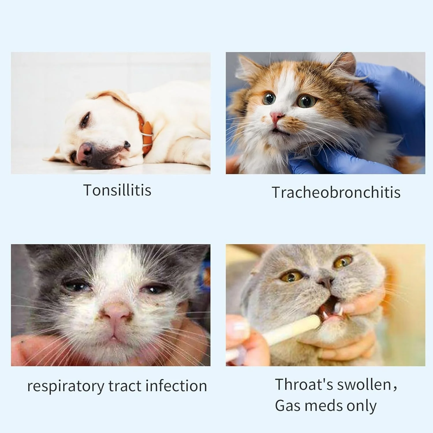 محفظه استنشاقی گربه، محفظه آئروسل برای تنفس و رساندن دارو به گربه، همراه با 2 سایز ماسک
