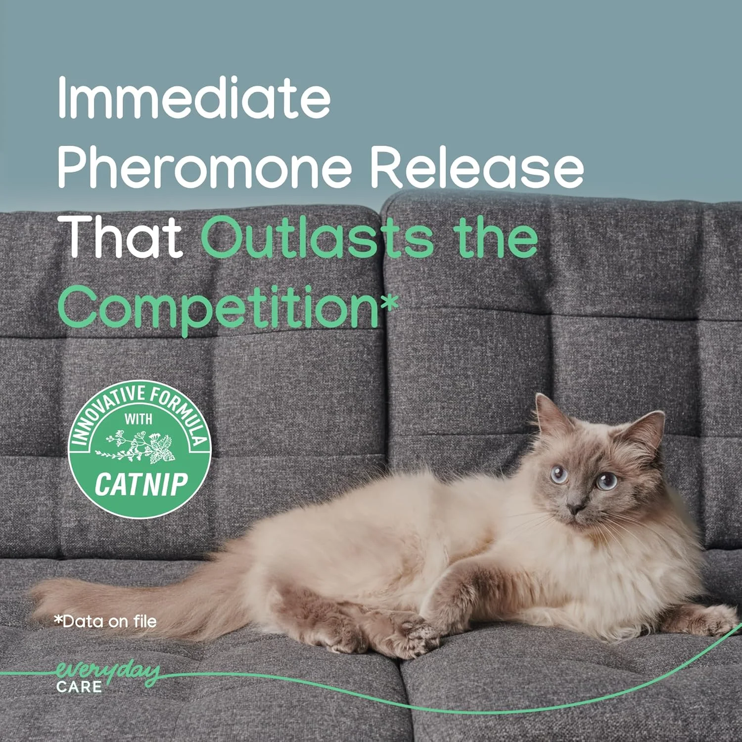 دفیوزر ژلی Virbac Zenifel برای مدیریت رفتارهای ناشی از استرس در بچه گربه ها و گربه ها - بدون نیاز به برق - ماندگاری تا 2 ماه - 1 عدد دفیوزر