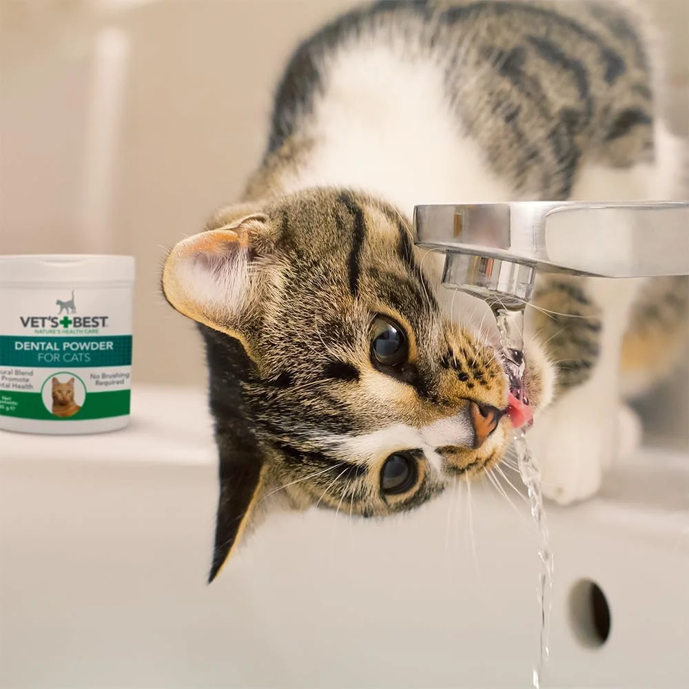 پودر طبیعی دندان گربه Vet's Best | دندان های تمیز و تنفس تازه - 45 گرم