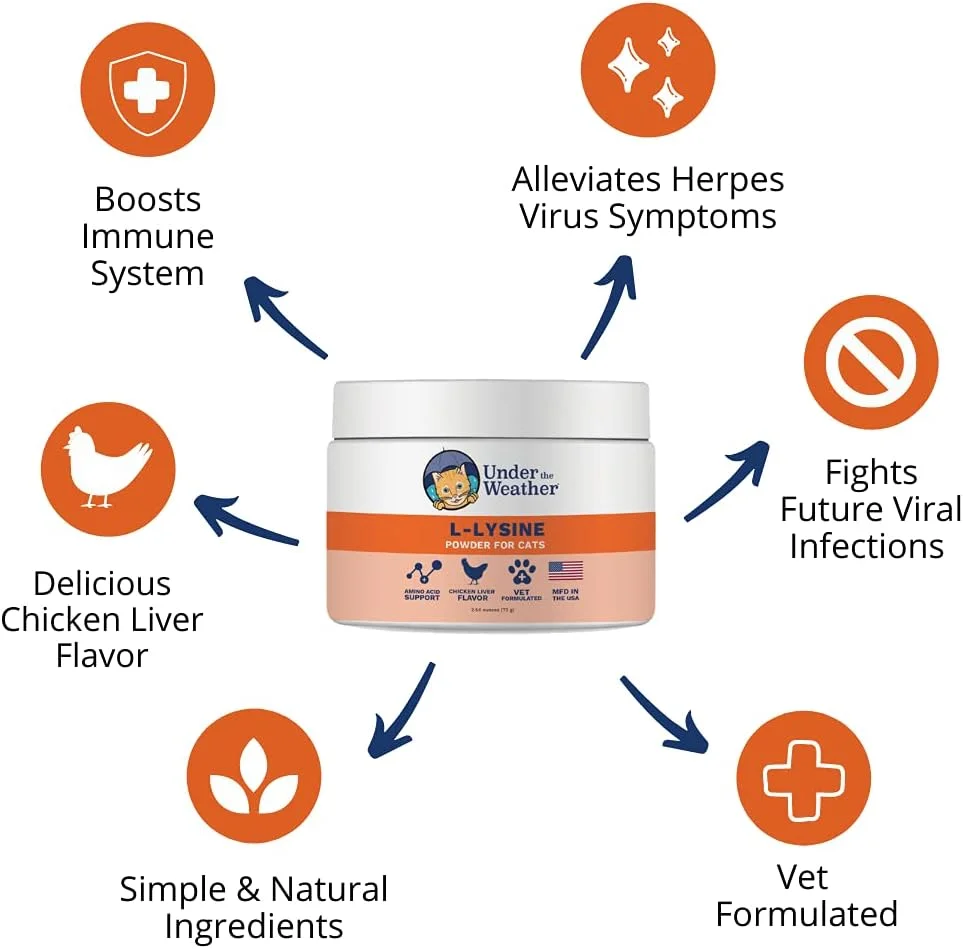 پودر ال-لیزین مخصوص گربه های خانگی | پودر لیزین طبیعی با فرمول دامپزشکی برای گربه ها و بچه گربه ها | تقویت کننده تعادل و پشتیبانی از سیستم ایمنی سالم و افزایش پاسخ کلی سلامتی (72 گرم)