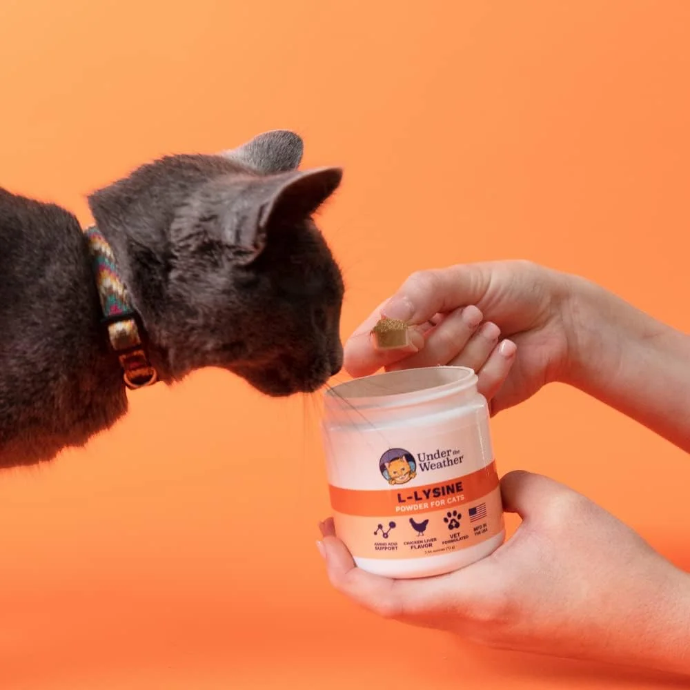 پودر ال-لیزین مخصوص گربه های خانگی | پودر لیزین طبیعی با فرمول دامپزشکی برای گربه ها و بچه گربه ها | تقویت کننده تعادل و پشتیبانی از سیستم ایمنی سالم و افزایش پاسخ کلی سلامتی (72 گرم)