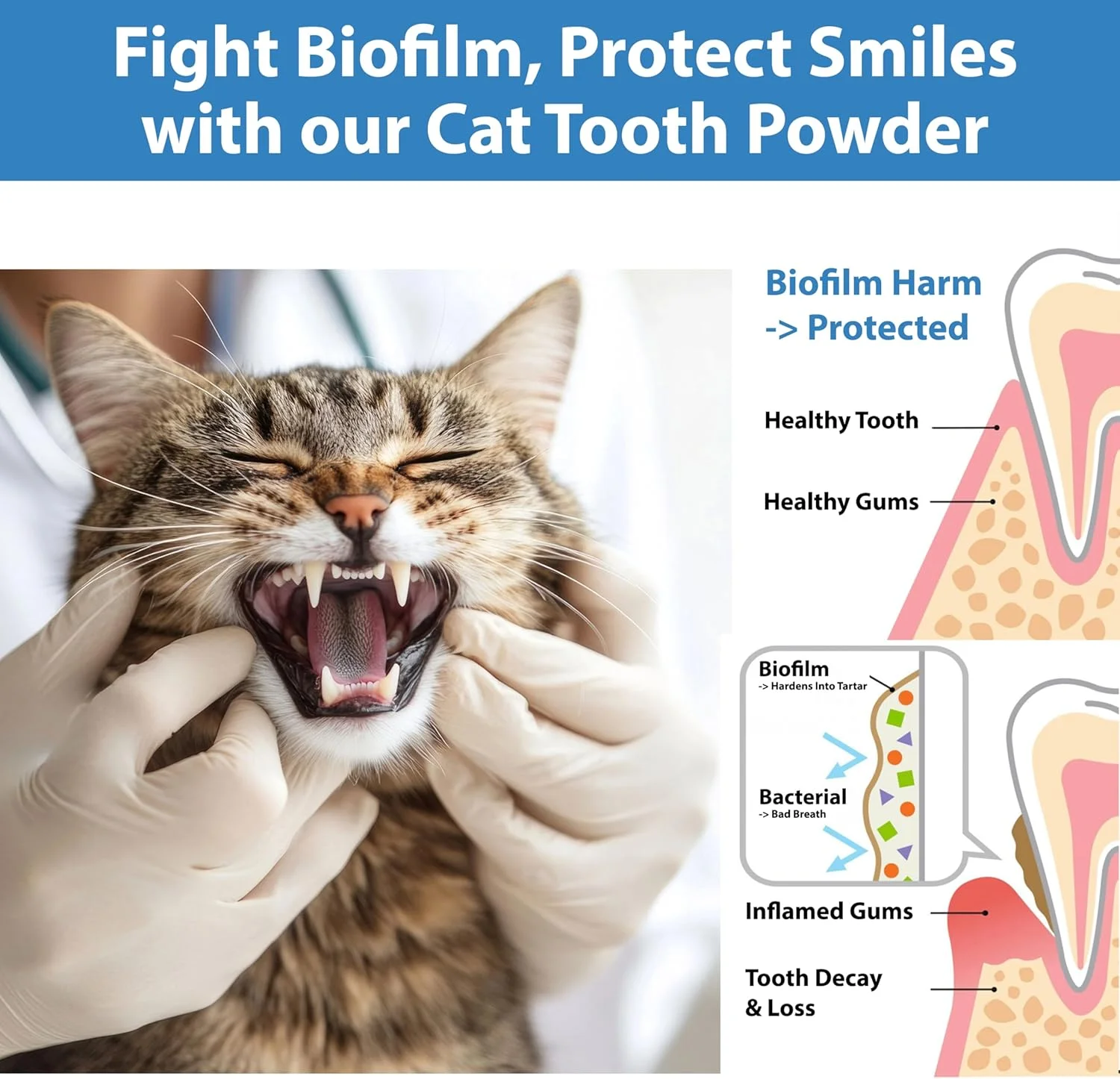 پودر مراقبت از دندان گربه، درمان بوی بد دهان برای دندان ها، دهان، لثه ها و روده گربه، کنترل جرم، کمک به التهاب لثه و استوماتیت گربه، با عصاره های طبیعی و پروبیوتیک ها