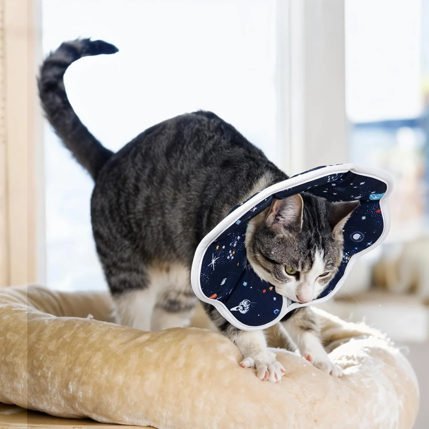 طوق گردنی محافظ گربه طرح آسمان پر ستاره نرم - طوق گردنی قابل تنظیم برای گربه ها بعد از جراحی، طوق الیزابتی راحت برای بچه گربه ها و حیوانات خانگی کوچک (M)