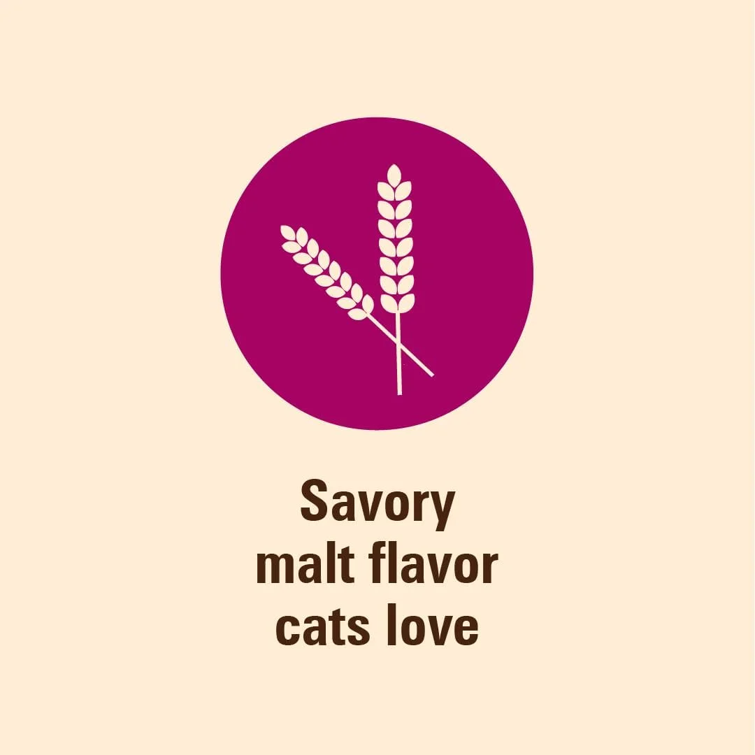 درمان گلوله مویی گربه با طعم مالت HC Petromalt، 4 اونس