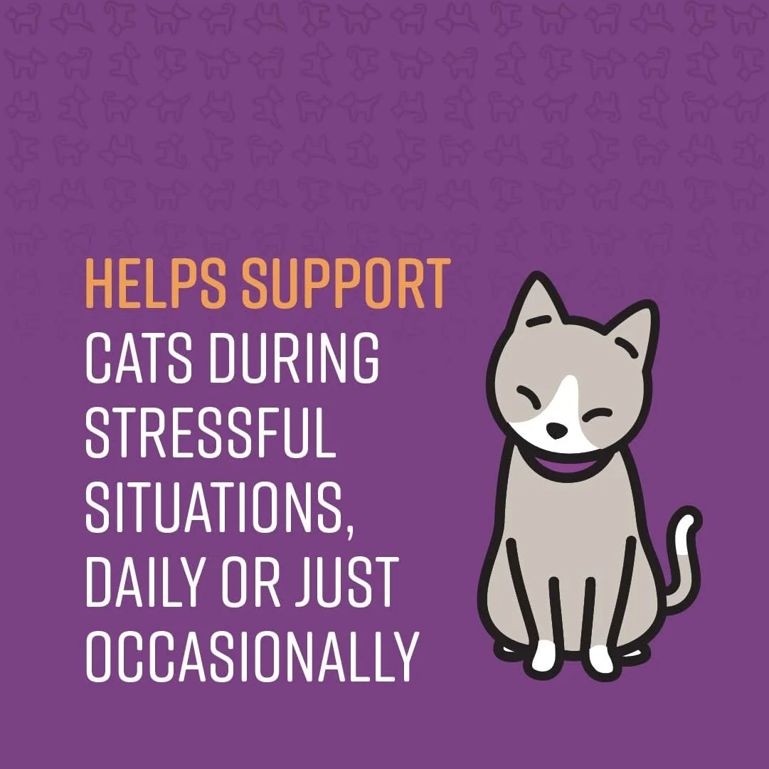 تشویقی آرام‌بخش گربه سنتری، کمک به کاهش استرس و اضطراب، فرمولاسیون حاوی فرومون برای جلوگیری از رفتارهای نامطلوب و حمایت از گربه‌ها در شرایط پراسترس، 60 عدد