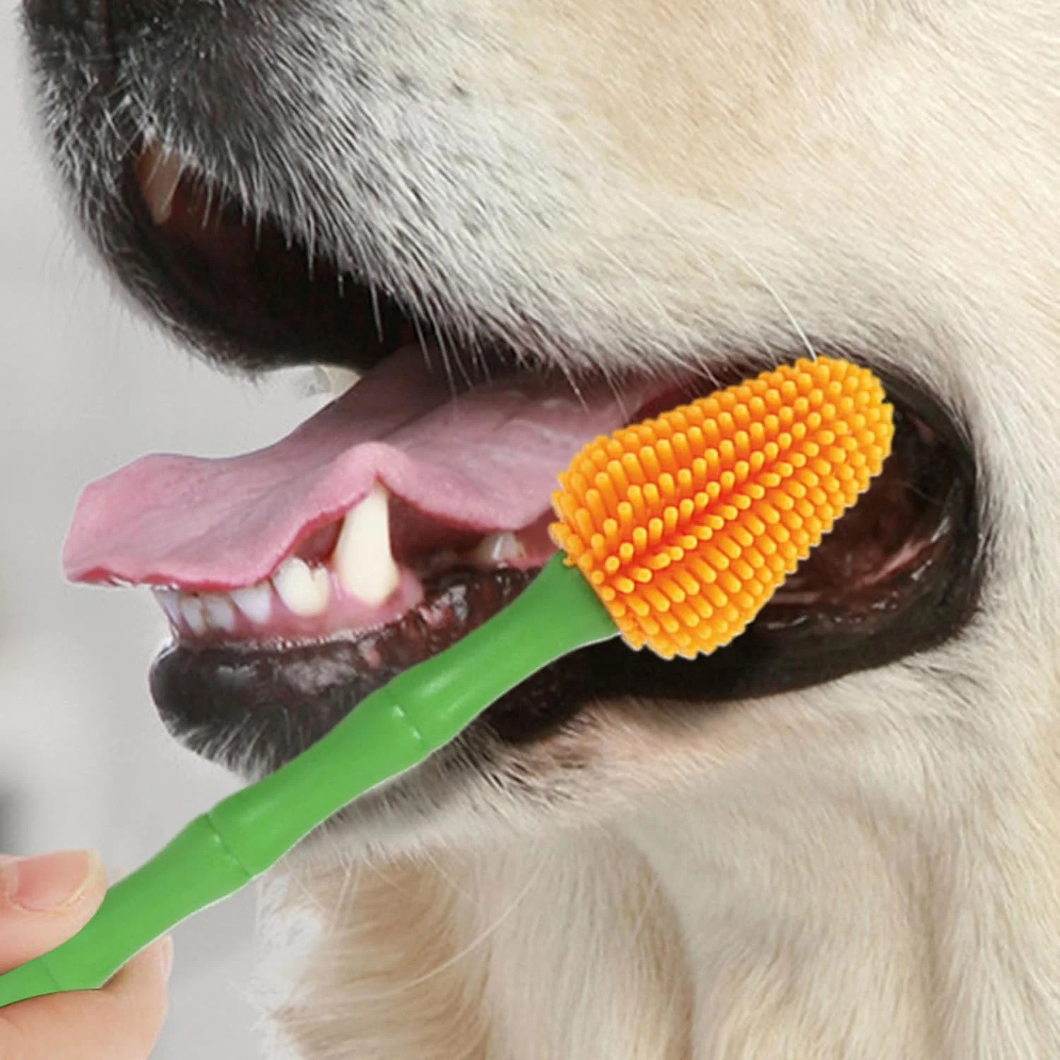 مسواک حیوانات خانگی - لوازم نظافت با دسته بلند، برس تمیز کننده دندان گربه کوچک، برای مسواک زدن، نظافت، بهداشت روزانه، منزل، مسافرت، روال بهداشتی توله سگ و بچه گربه