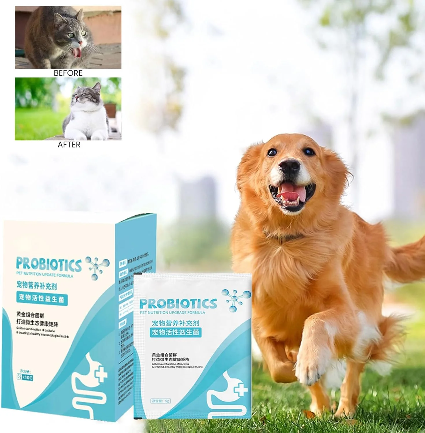 پودر گوارش حیوانات خانگی برای گربه - مکمل تسکین دهنده اسهال - لوازم مغذی گربه، لوازم حیوانات خانگی تسکین دهنده گوارش برای توله سگ و سگ مسن