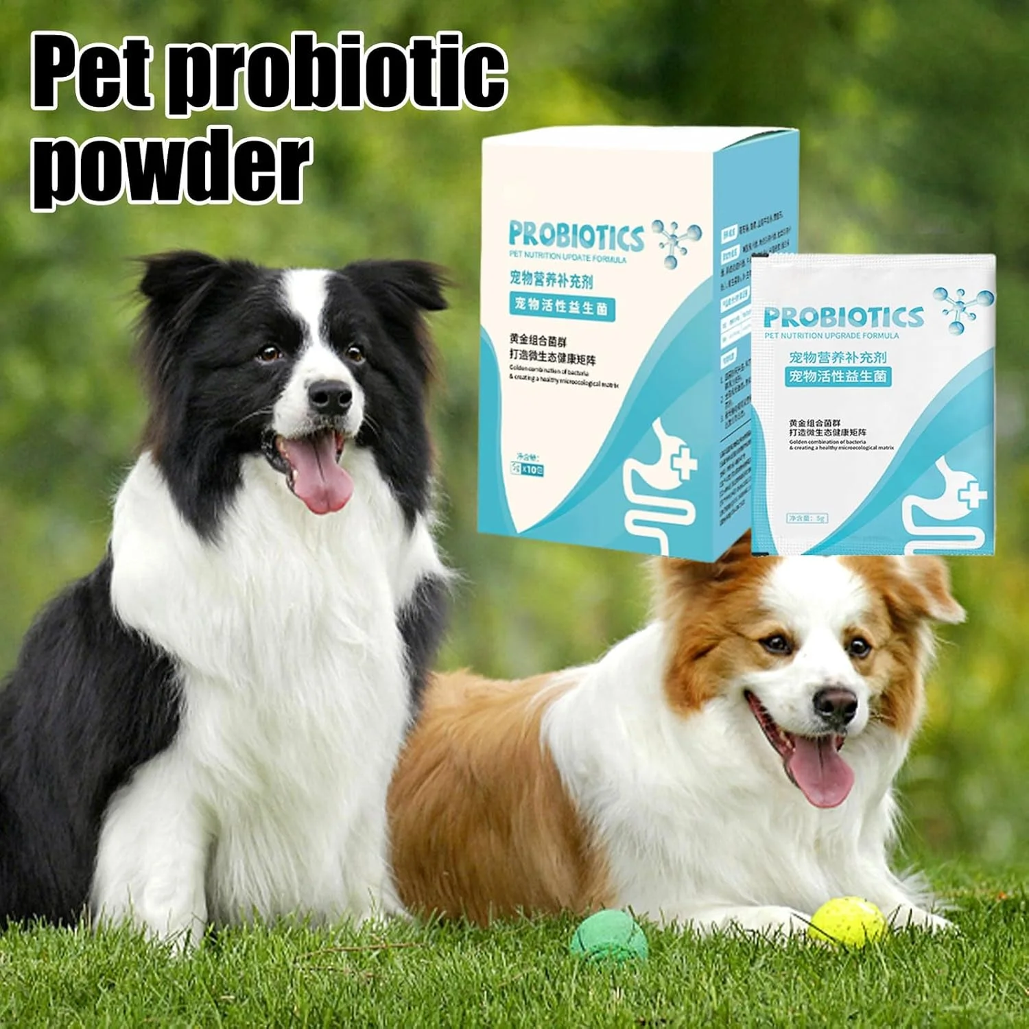 پودر گوارشی روده حیوانات خانگی برای گربه | پودر مغذی برای سلامت دستگاه گوارش - مکمل سلامت معده و دستگاه گوارش، لوازم حیوانات خانگی برای مراقبت روزانه، مشکلات معده و اسهال