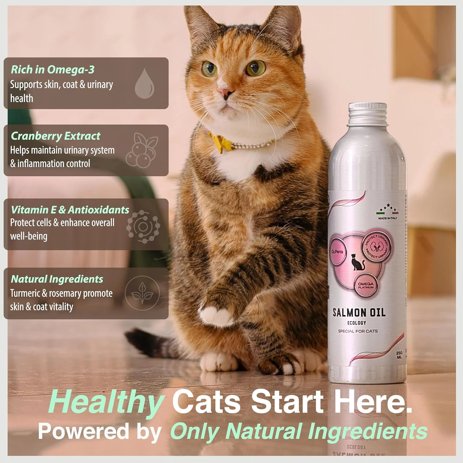 روغن سالمون نروژی صید وحشی O2 PETS امگا پلاتینیوم برای گربه ها، روغن ماهی امگا 3 مایع، افزودنی و تشویقی غذای گربه، پشتیبانی از پوست، پوشش و ایمنی (150 میلی لیتر)