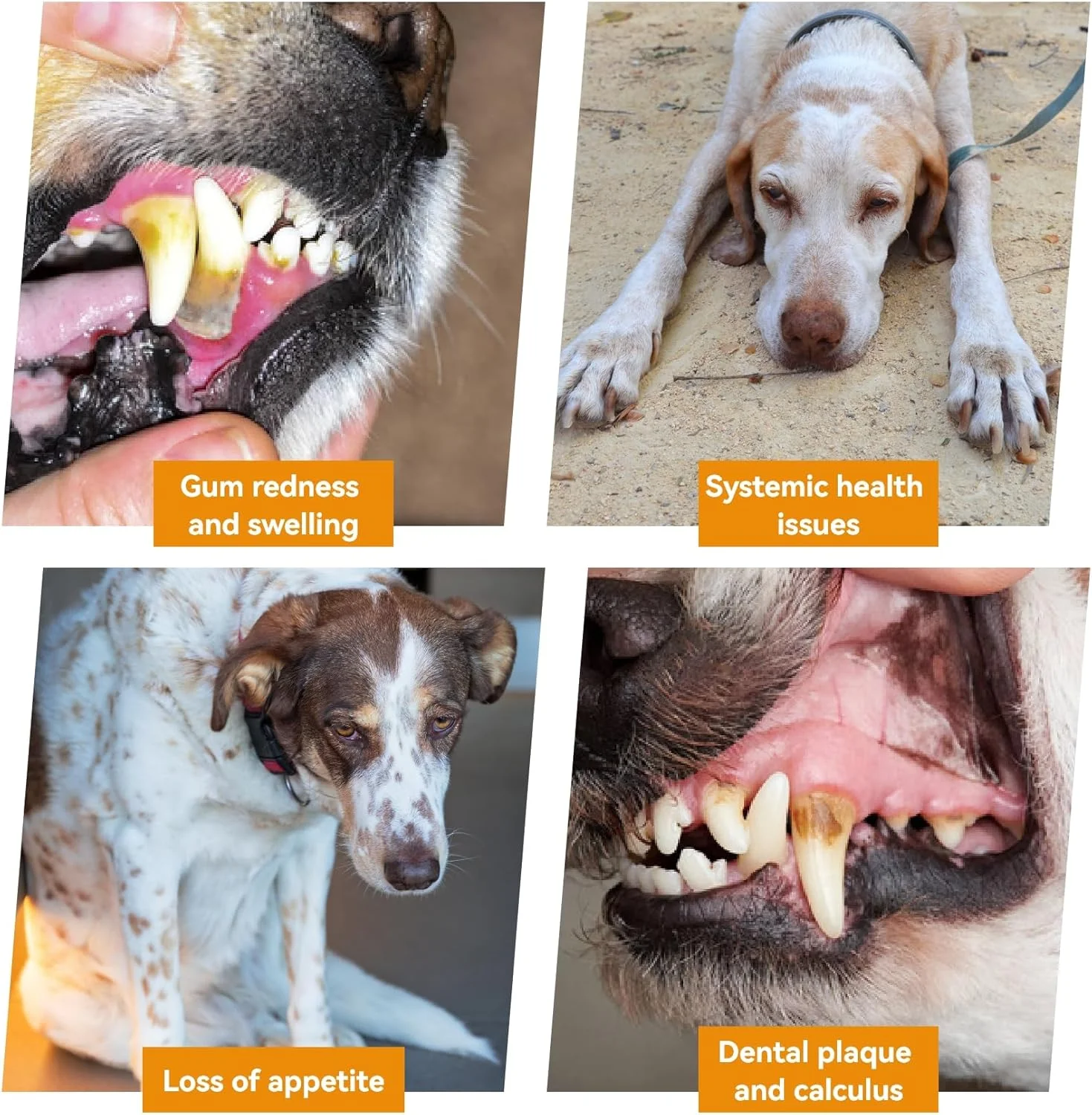 دستگاه جرم گیر و از بین برنده پلاک دندان سگ - کیت مسواک برقی سگ، 5 حالت قابل تنظیم و 3 سر تمیز کننده، از بین برنده پلاک و لکه های دندان برای سگ و گربه