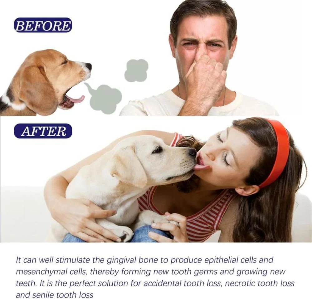 خمیر دندان طبیعی سگ و گربه، سفید کننده دندان و از بین برنده بوی بد دهان، حاوی عصاره نعناع ارگانیک و طبیعی، مناسب لوازم حیوانات خانگی