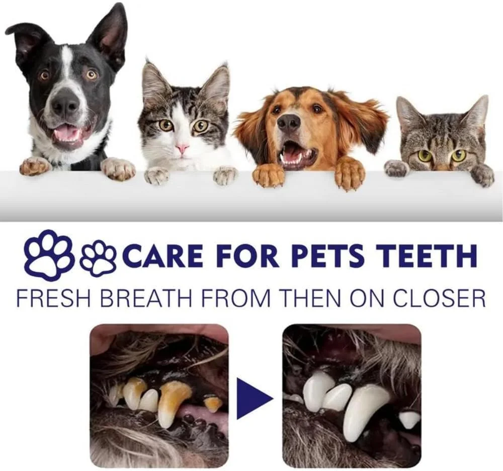خمیر دندان طبیعی سگ و گربه، سفید کننده دندان و از بین برنده بوی بد دهان، حاوی عصاره نعناع ارگانیک و طبیعی، مناسب لوازم حیوانات خانگی