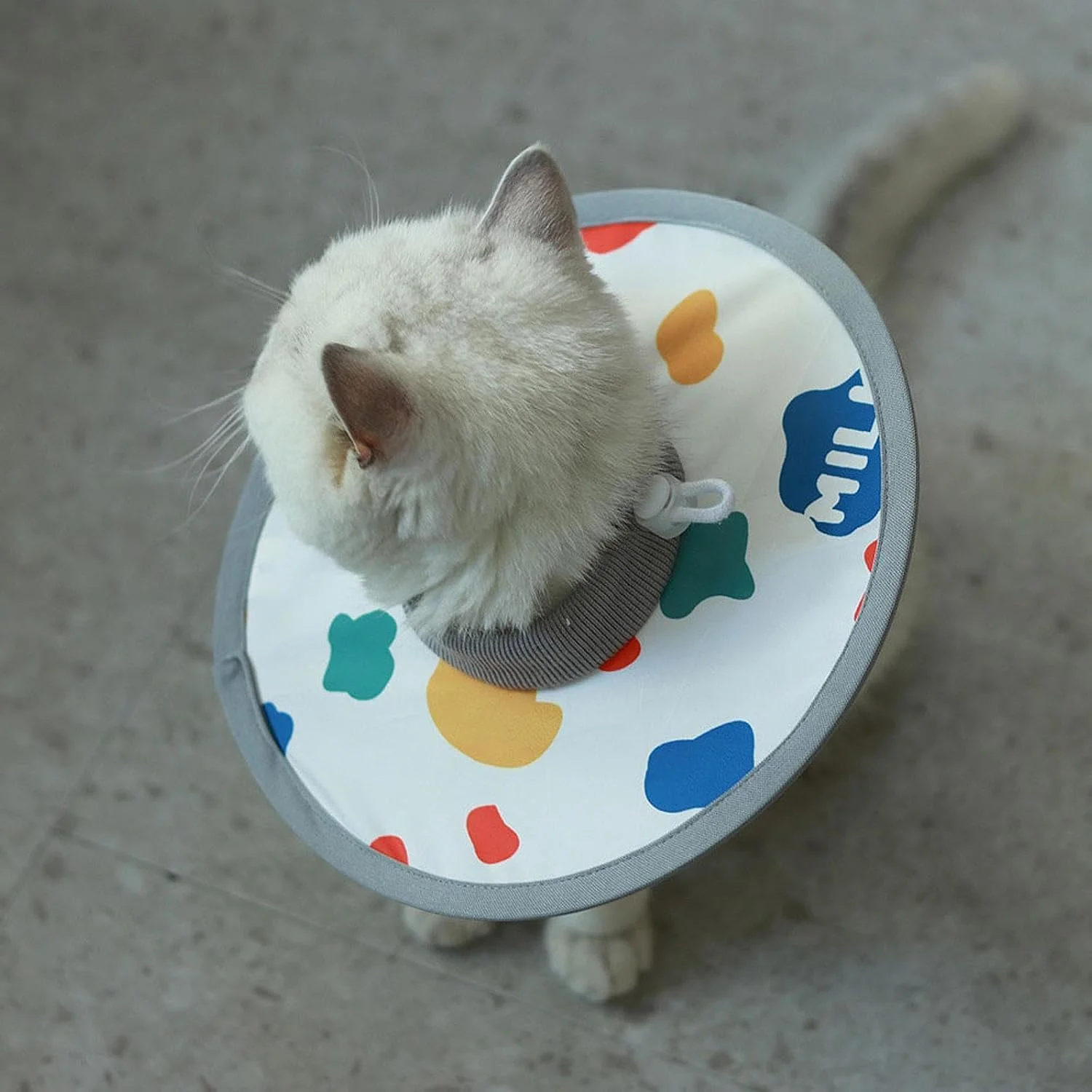 طوق گردنی سبک وزن برای جلوگیری از لیسیدن حیوانات خانگی، مناسب گربه و بچه گربه، سایز M | لوازم گربه | قلاده و پلاک